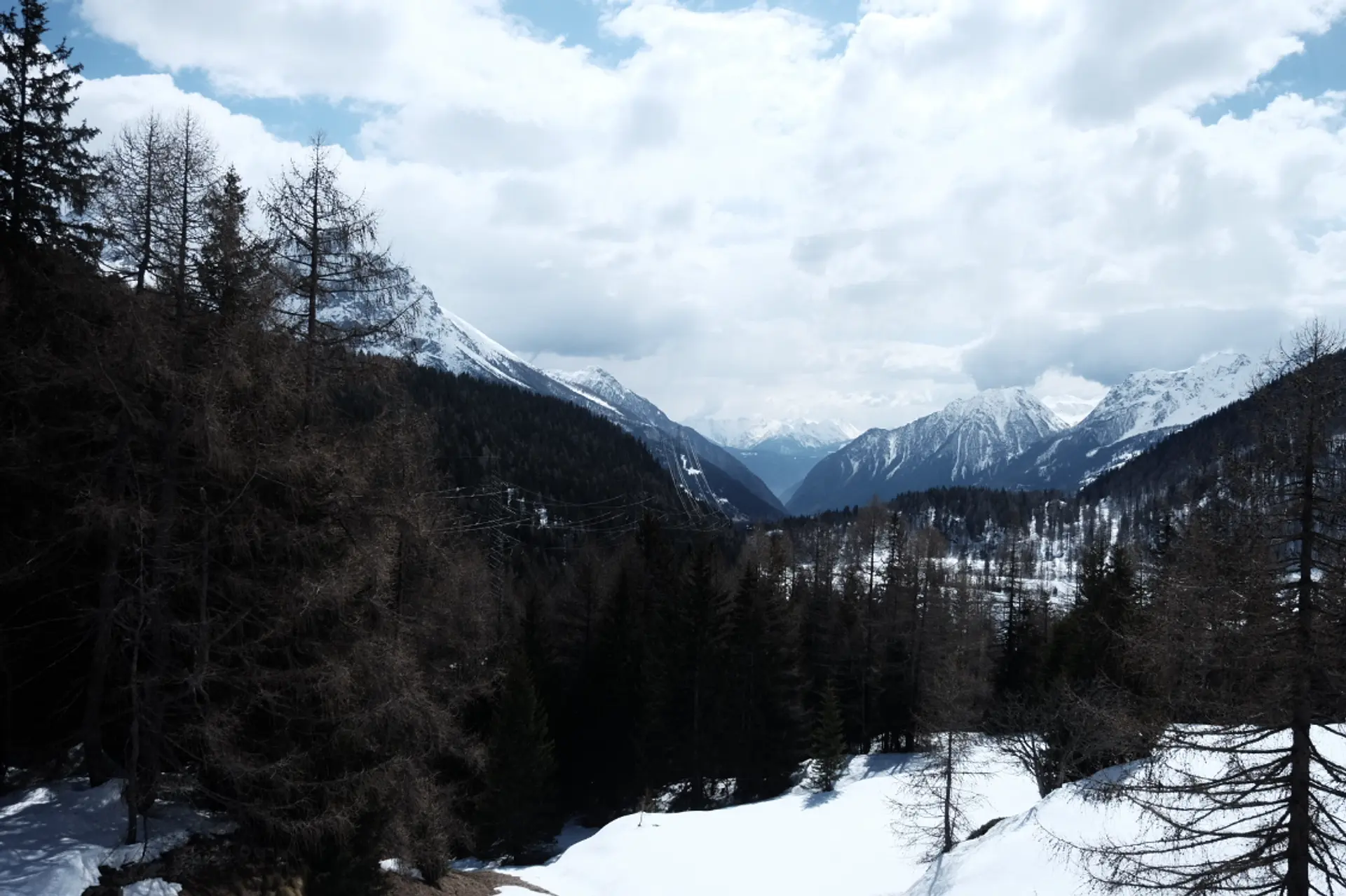 Snowy mountains and evergreen trees create a picturesque winter scene in Switzerland's Engadin Valley.