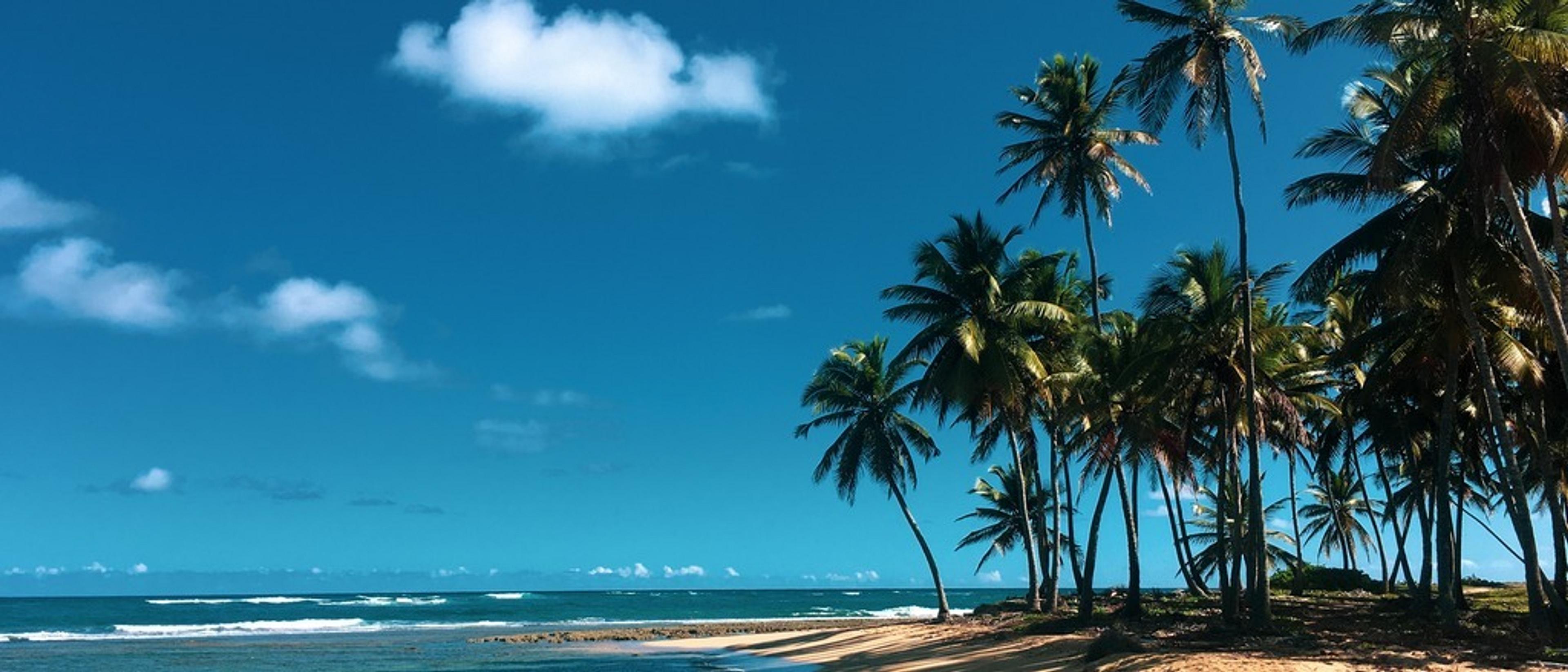 🌴 Samana at $352 RT from Toronto