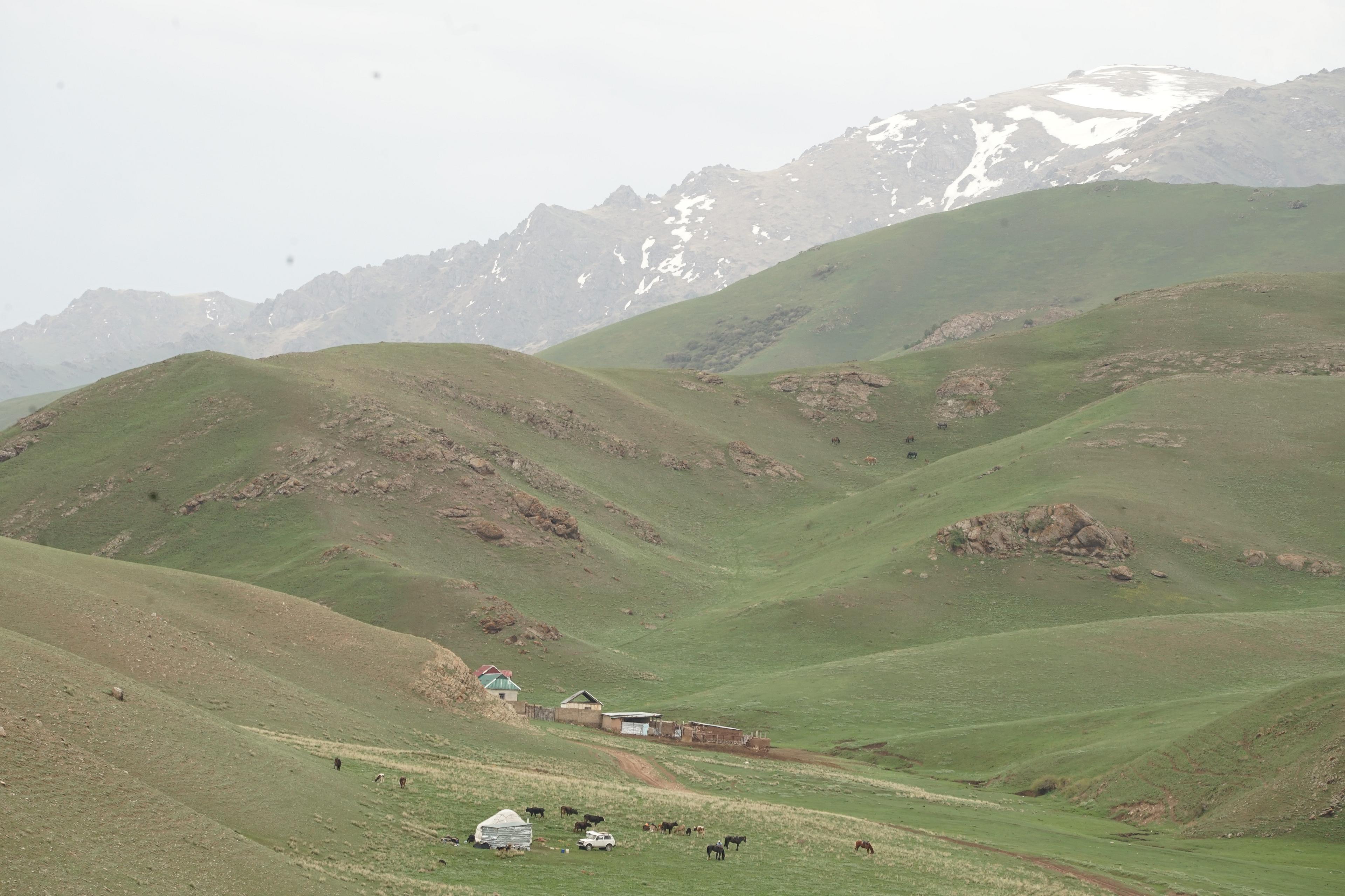 Rolling green hills dotted with yurts and grazing animals stretch towards the snow-capped mountains of Kyrgyzstan.