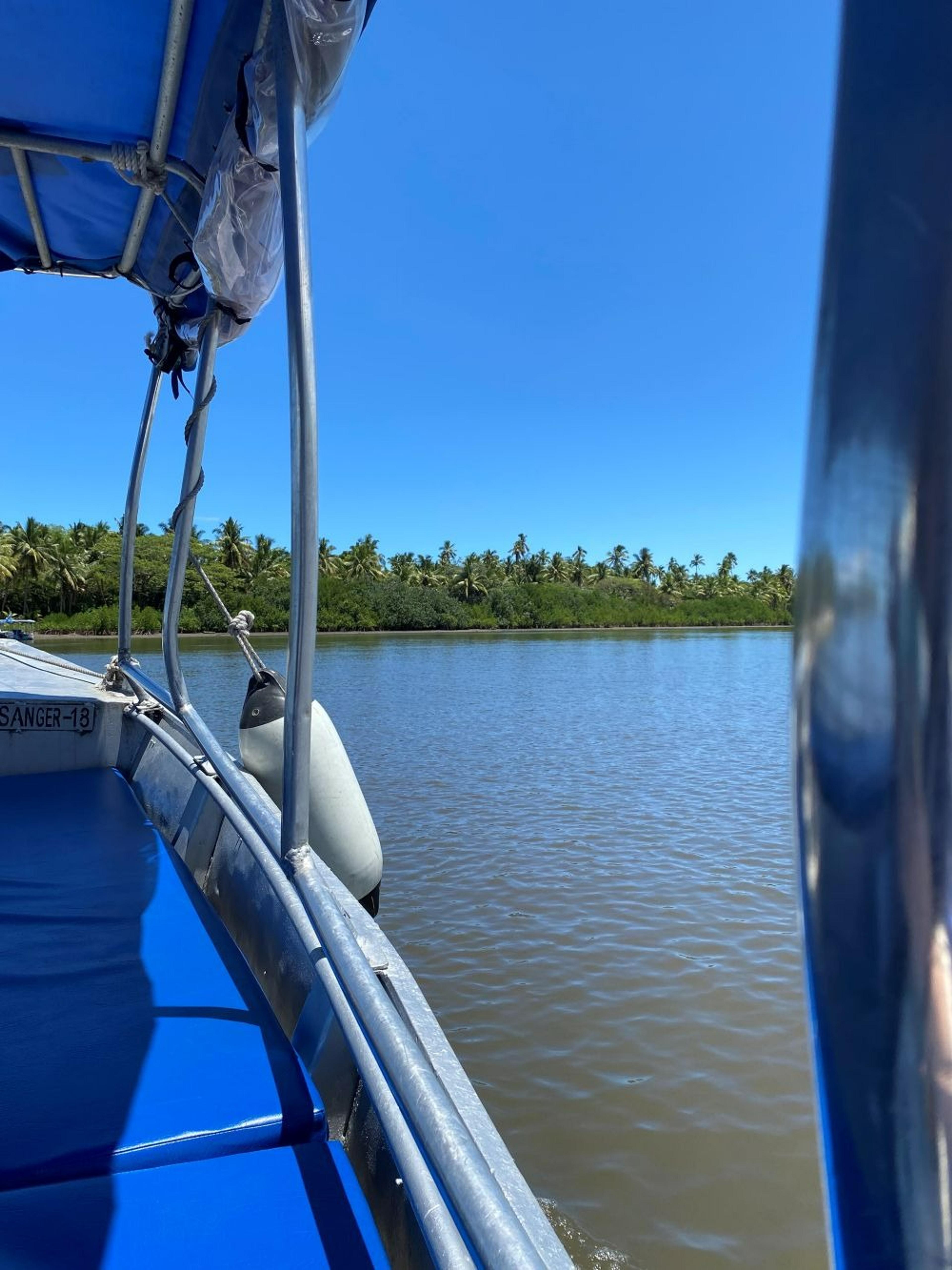 A boat with blue seating navigates along a tranquil waterway bordered by lush palm trees, possibly near a tropical location.
