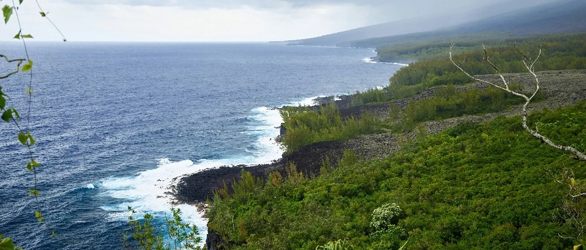 Réunion