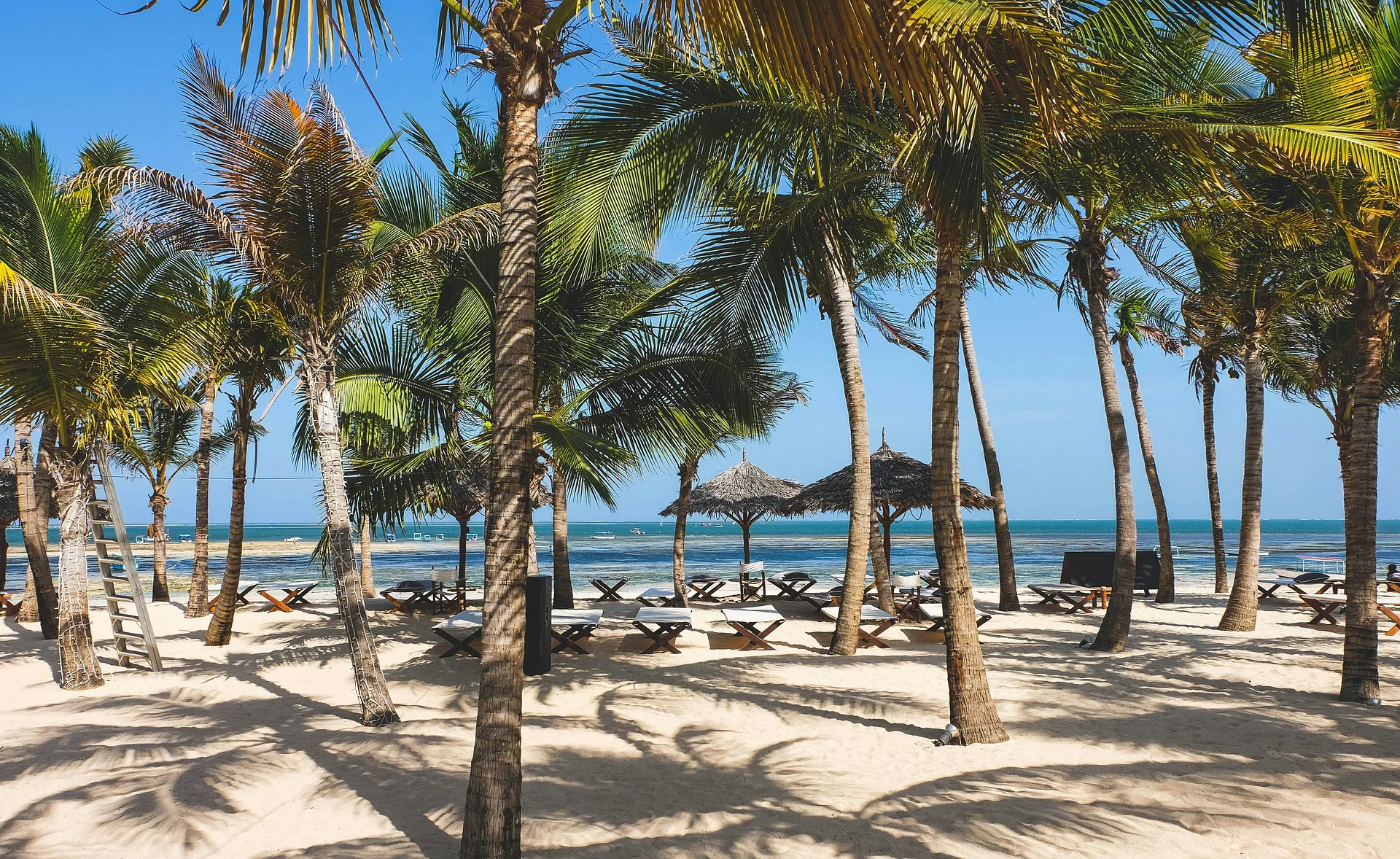 Sun-drenched palm trees and thatched umbrellas border the sandy shores of a tropical beach in Malindi, Kenya.