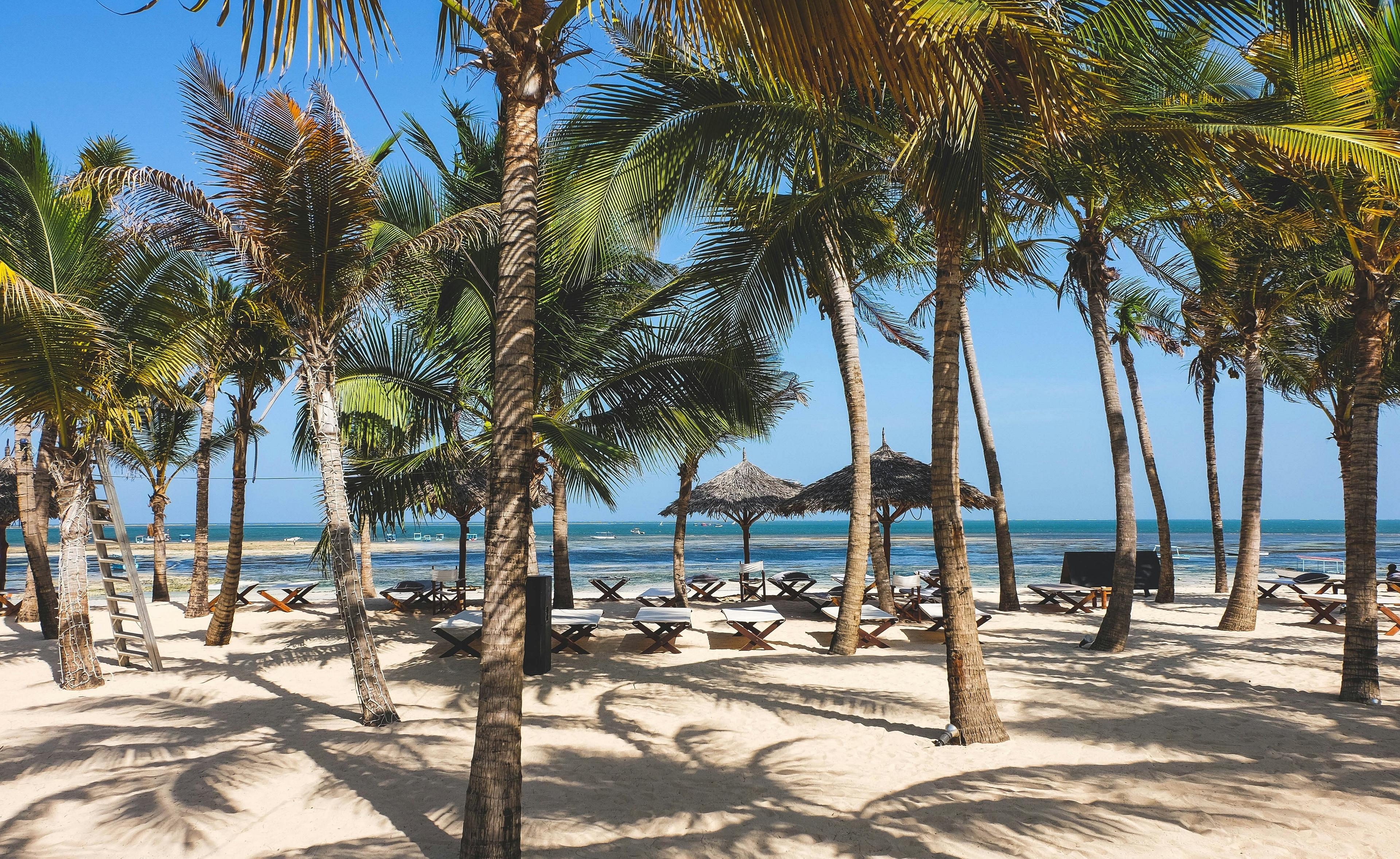 Sun-drenched palm trees and thatched umbrellas border the sandy shores of a tropical beach in Malindi, Kenya.