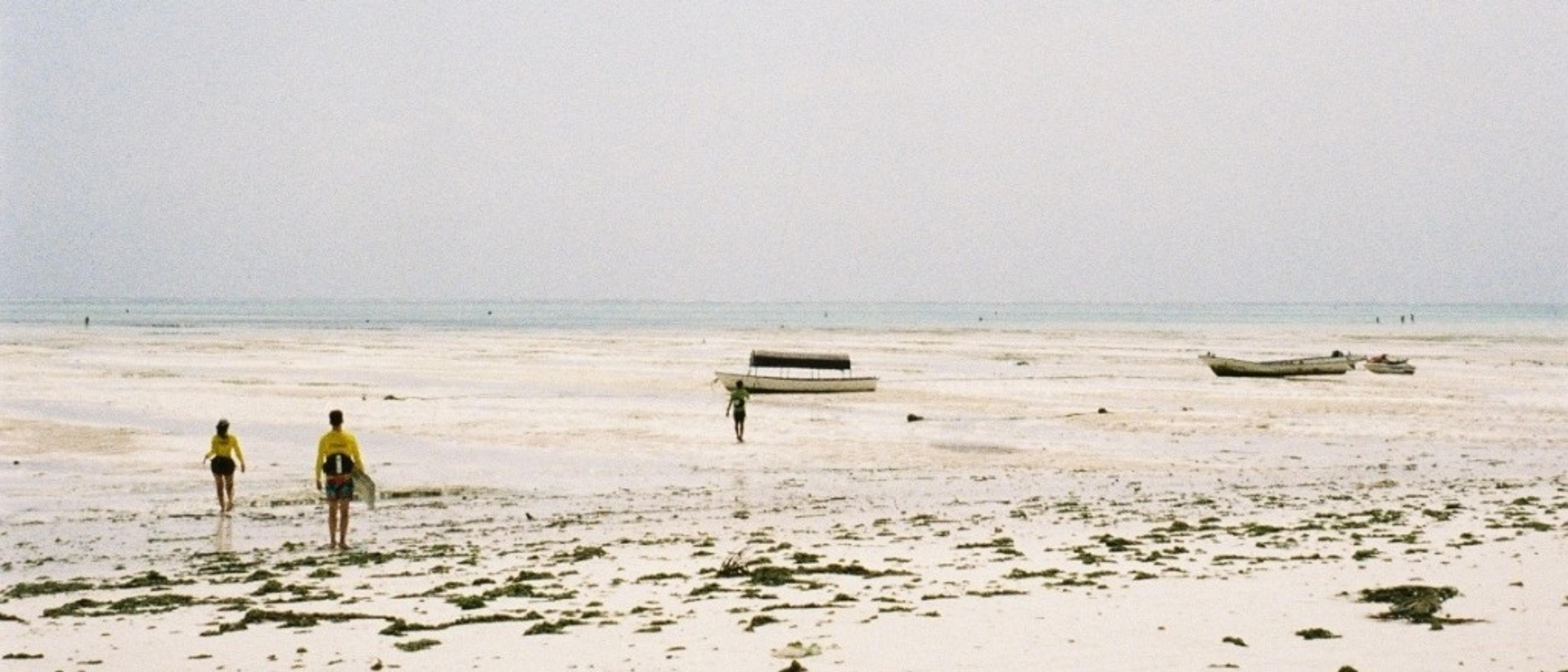 Travel Hacks, Flight Tips and Amazing Fares