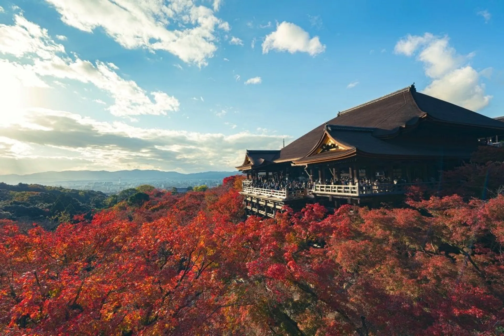 Japan in 7 Days - The Jack's Flight Club Itinerary
