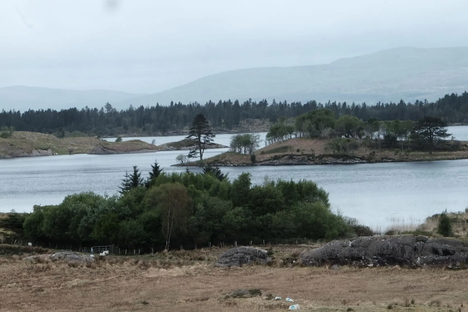 Islands covered in trees in front of misty mountains