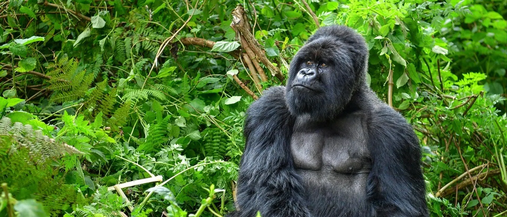 Rwanda