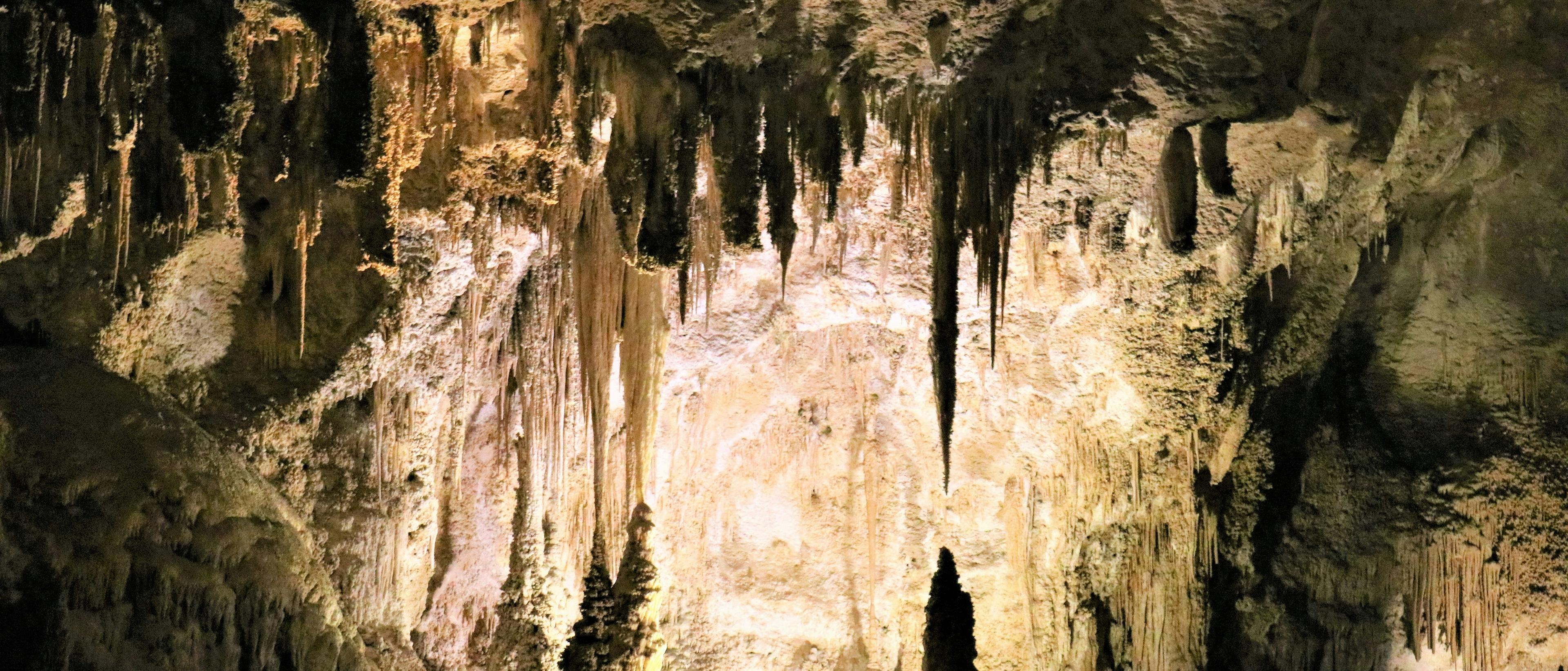 Passport to the Parks: Meet Carlsbad Caverns National Park