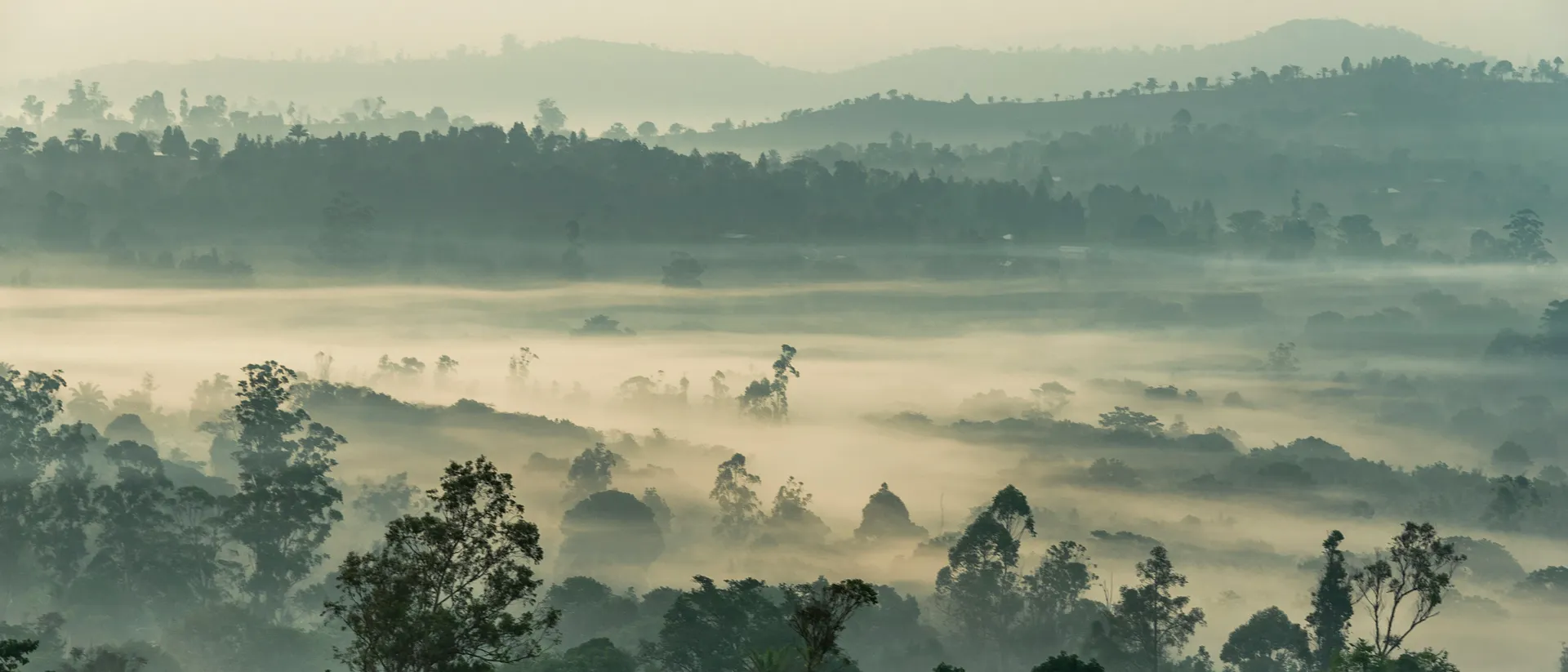 Cameroon