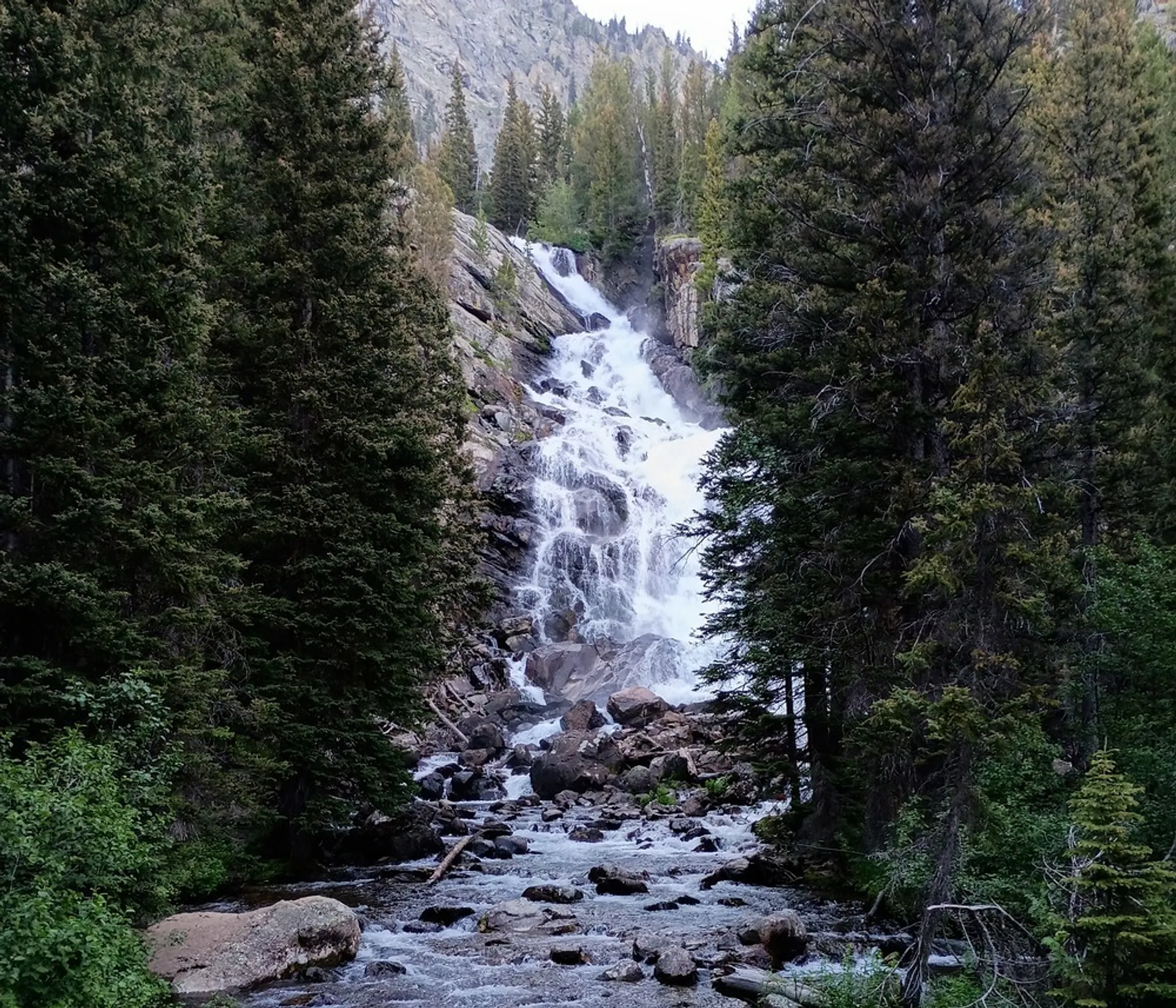 A cascading waterfall flows amid the lush greenery of Hidden Falls in Grand Teton National Park.