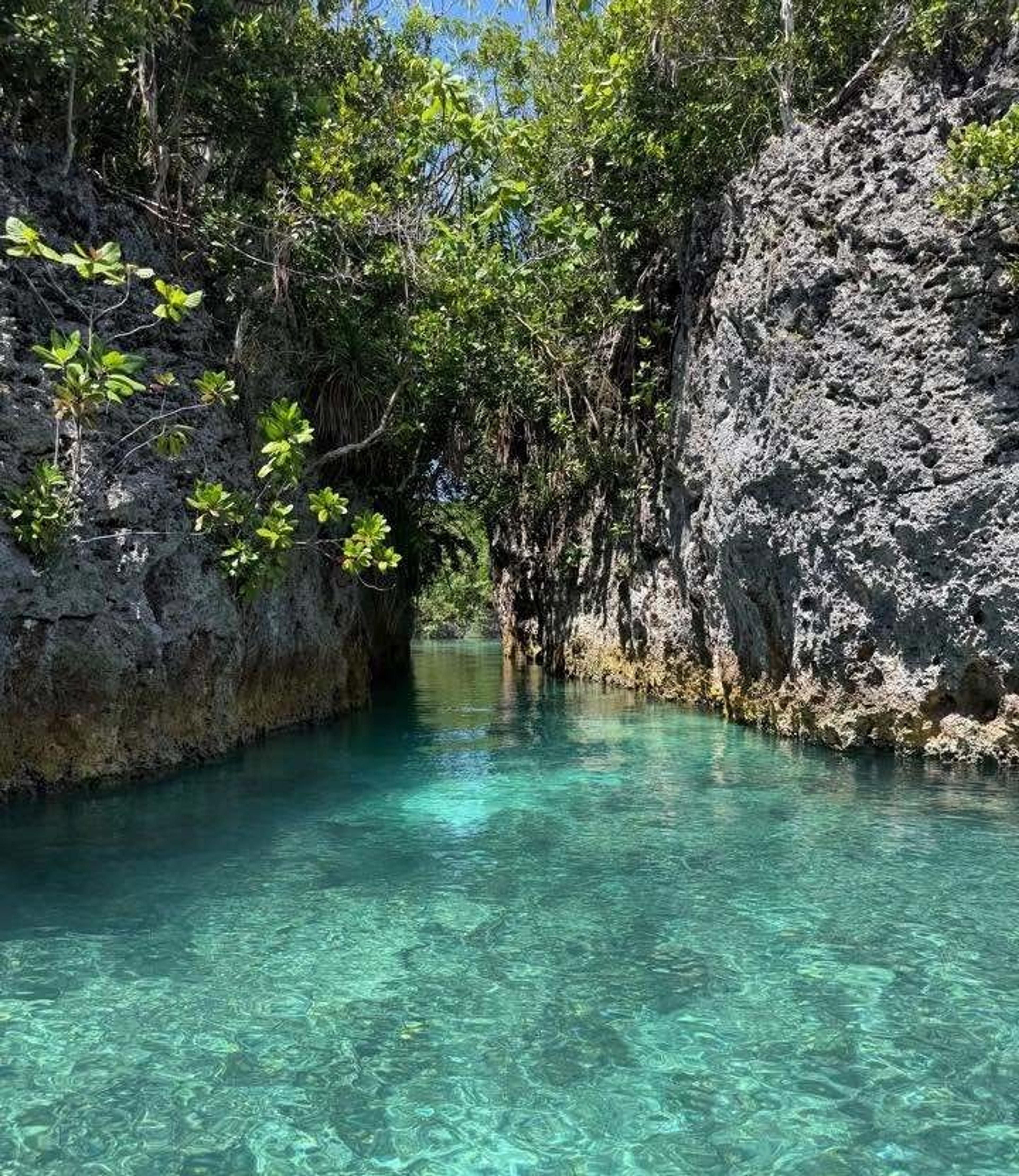 Crystal-clear turquoise water flows through a narrow channel flanked by lush vegetation and rugged rock formations