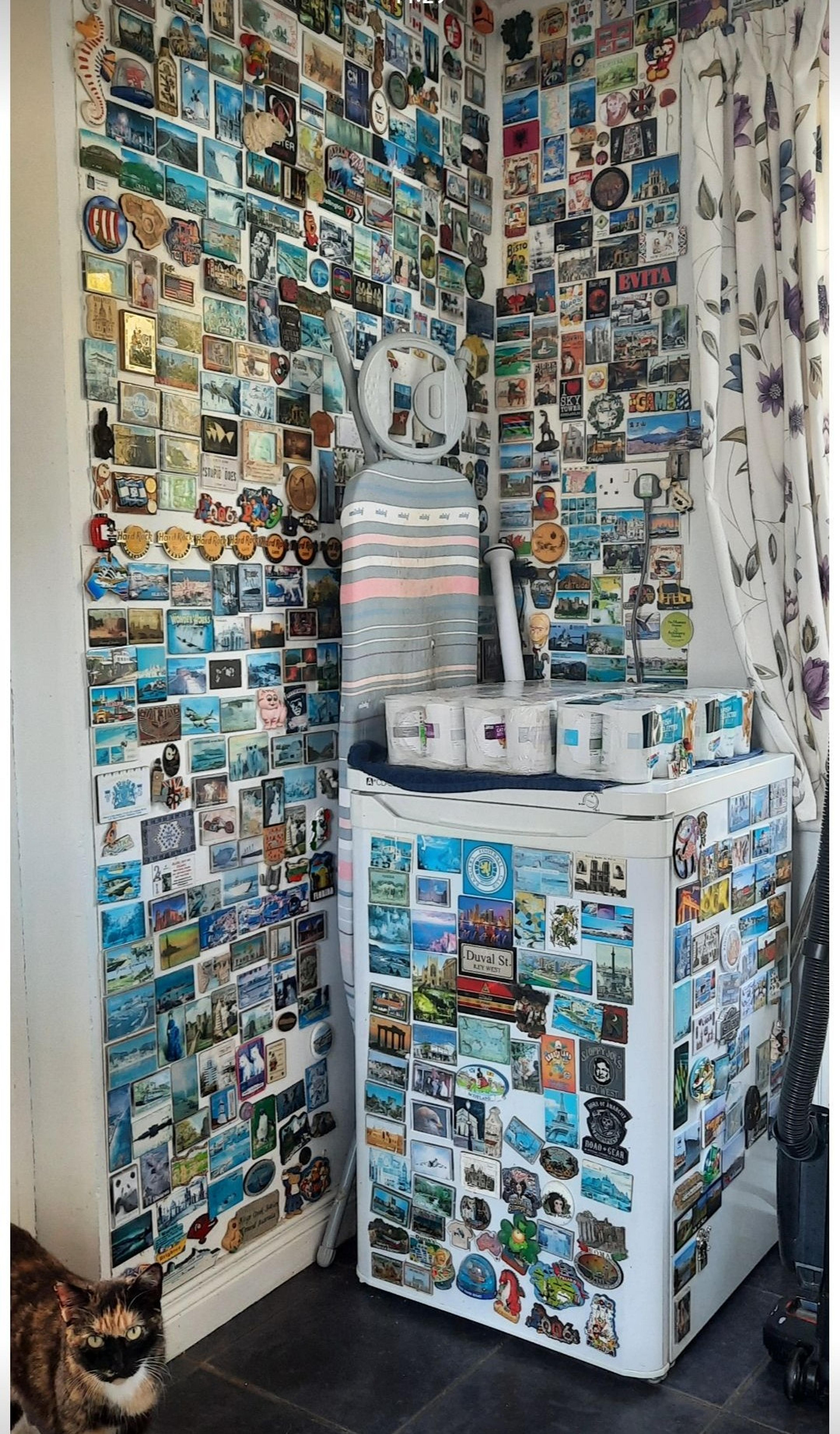 A corner of a room in a house is covered with various souvenirs and magnets on the walls and a washing machine, accompanied by a cat standing on a dark tiled floor.