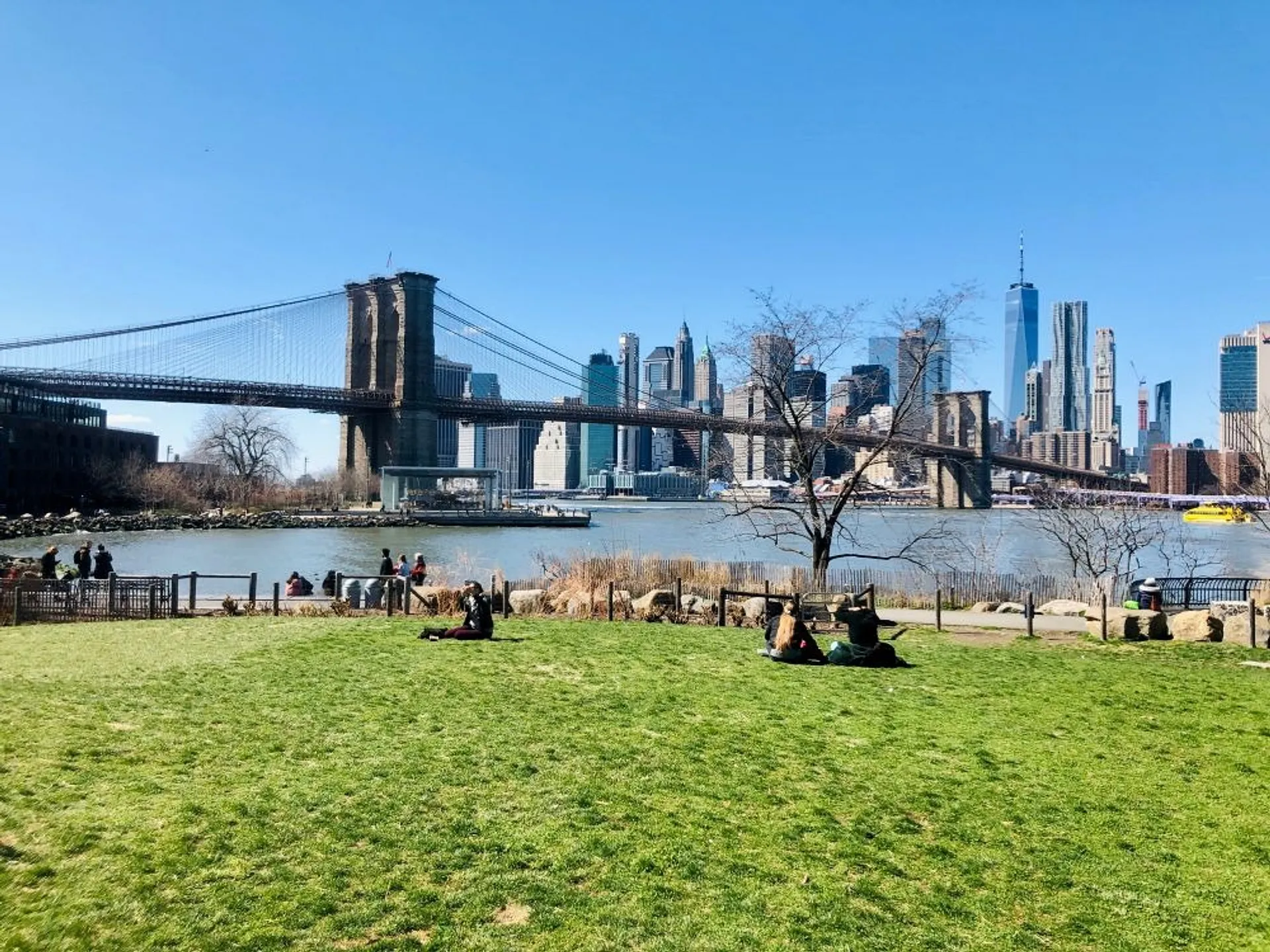 Brooklyn Bridge with the Manhattan skyline in the background is viewed from a grassy area at Brooklyn Bridge Park.