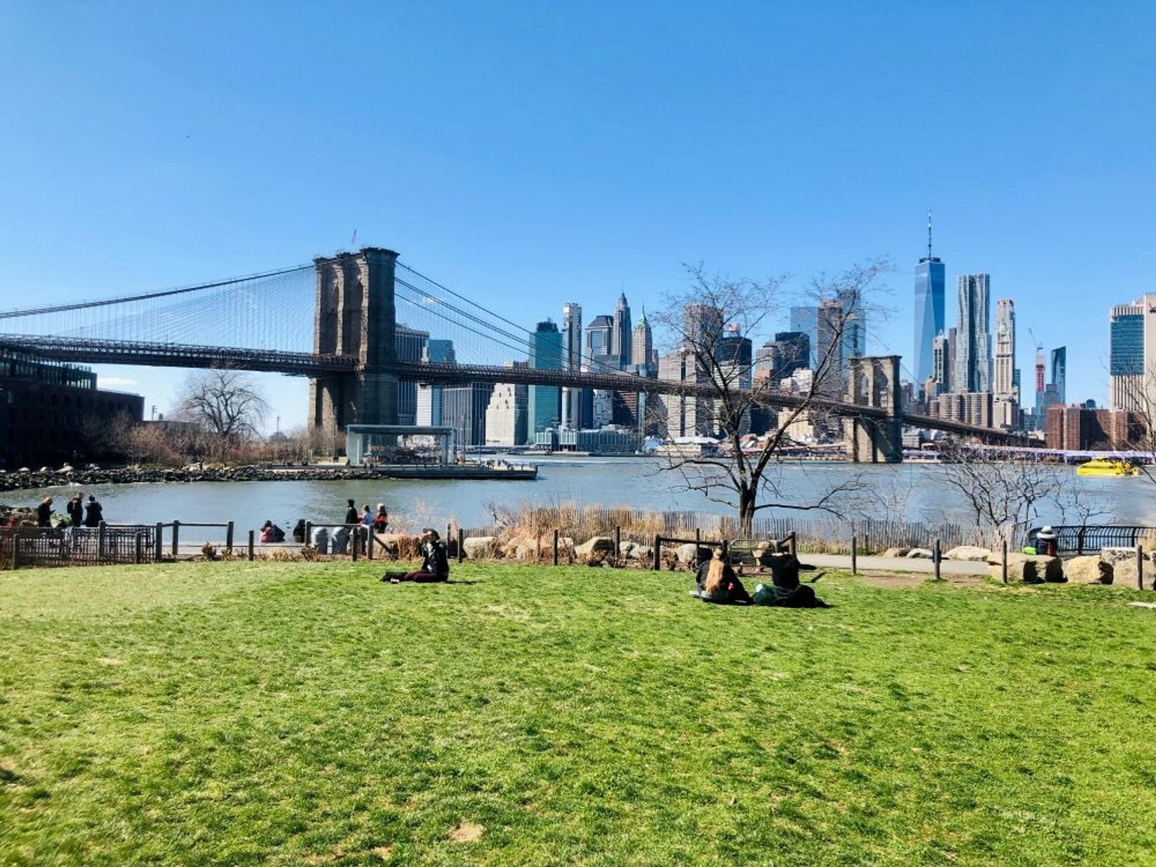 Brooklyn Bridge with the Manhattan skyline in the background is viewed from a grassy area at Brooklyn Bridge Park.