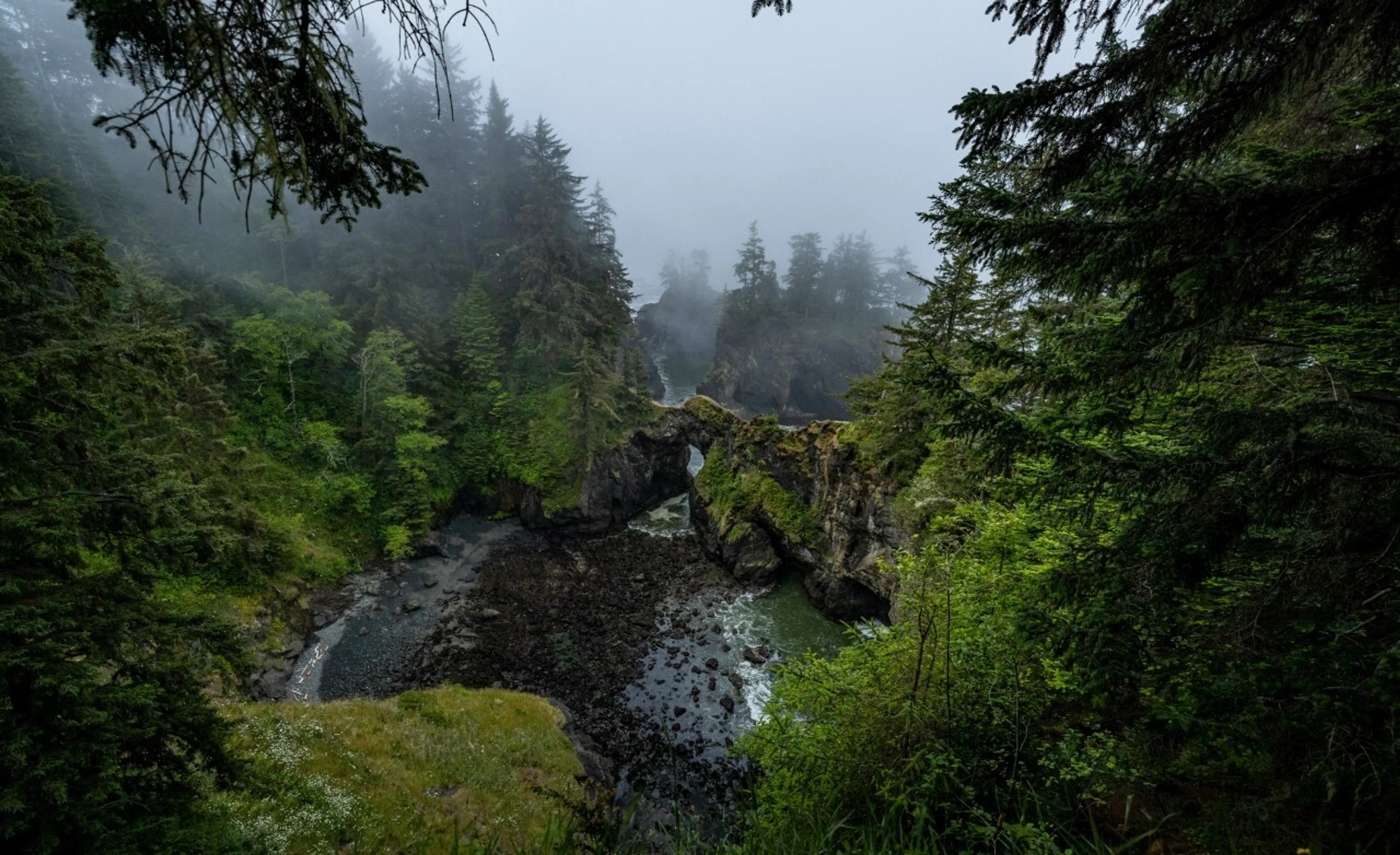 A foggy scene at Natural Bridges in the Samuel H. Boardman State Scenic Corridor, Oregon.