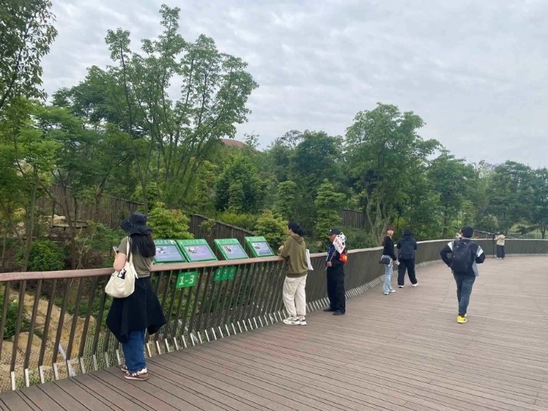 Visitors observe wildlife from a wooden boardwalk at Panda Research in Chengdu