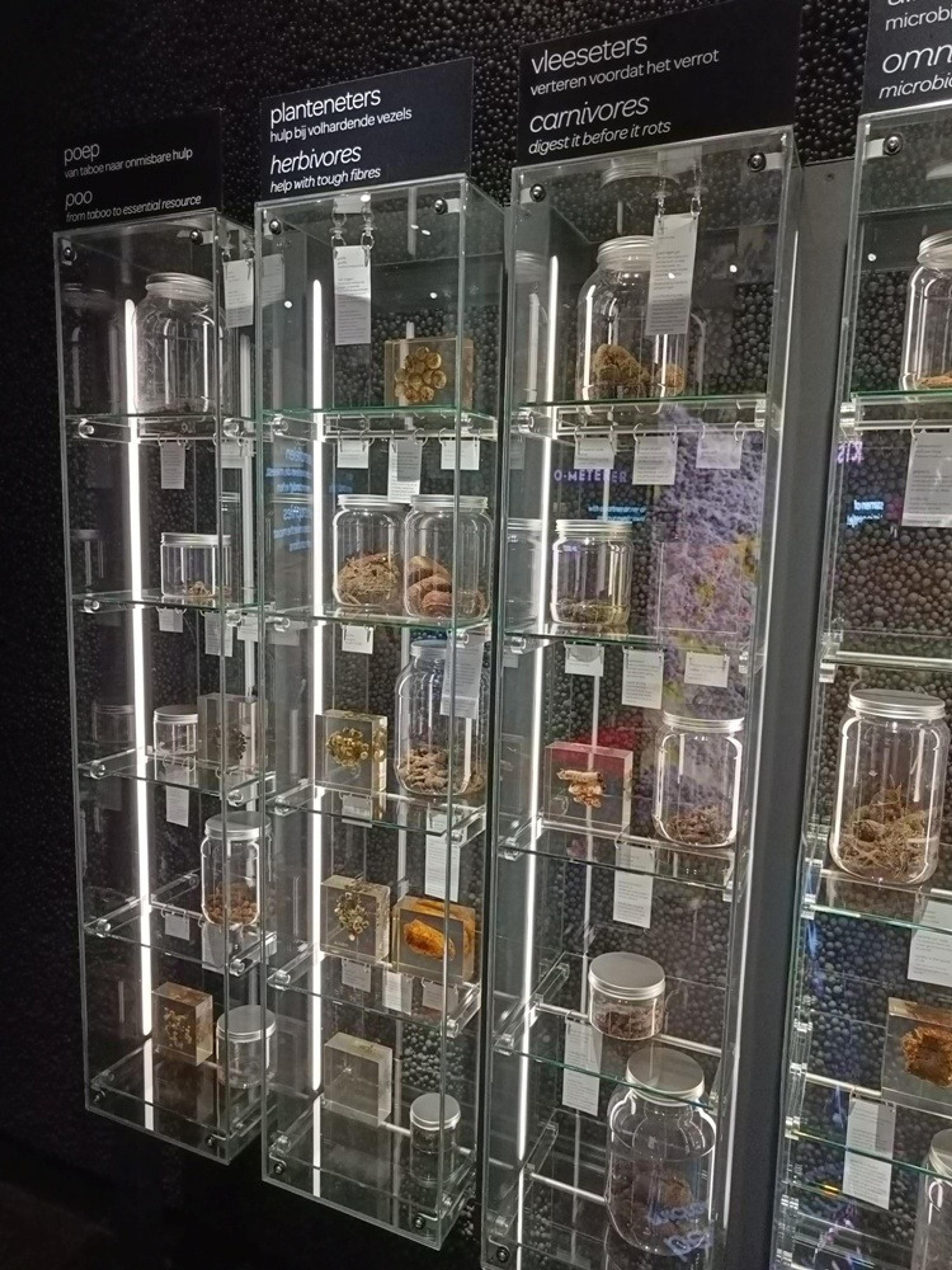 Oddball Odyssey: A Tour Through Europe’s Most Bizarre Museums