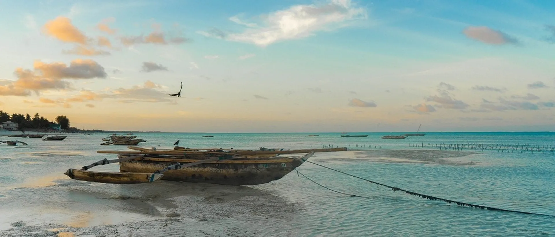 Zanzibar