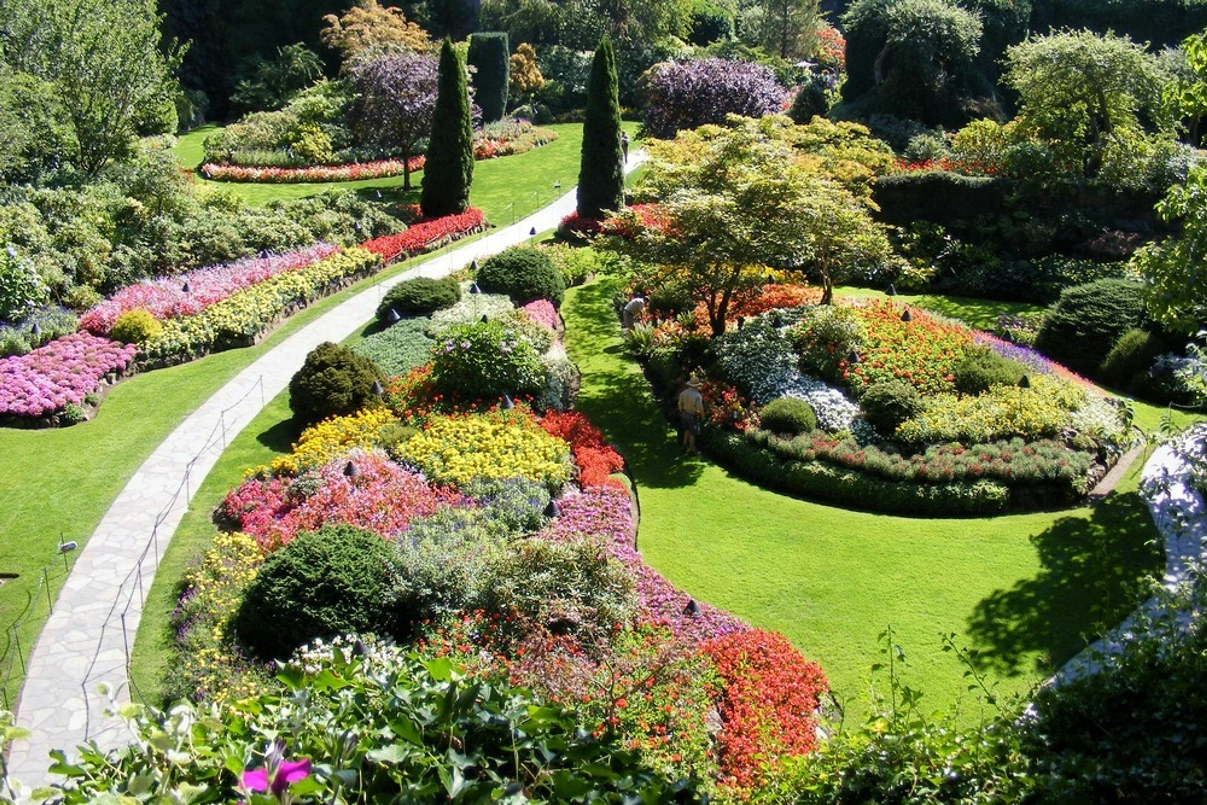 A vibrant array of meticulously arranged flowers and lush greenery adorns the Sunken Garden in Butchart Gardens, Canada.