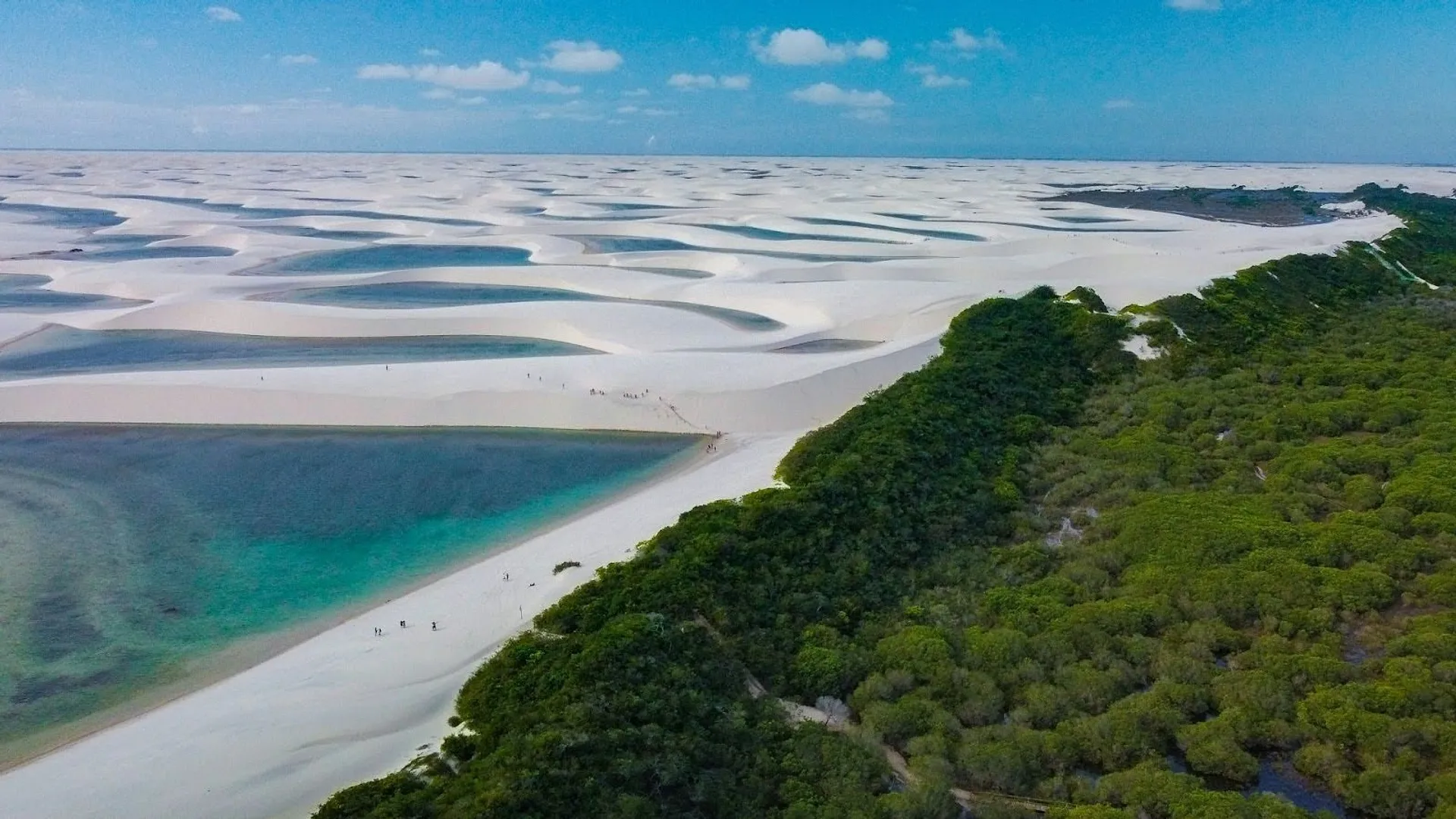 Desert with green trees and a lagoon