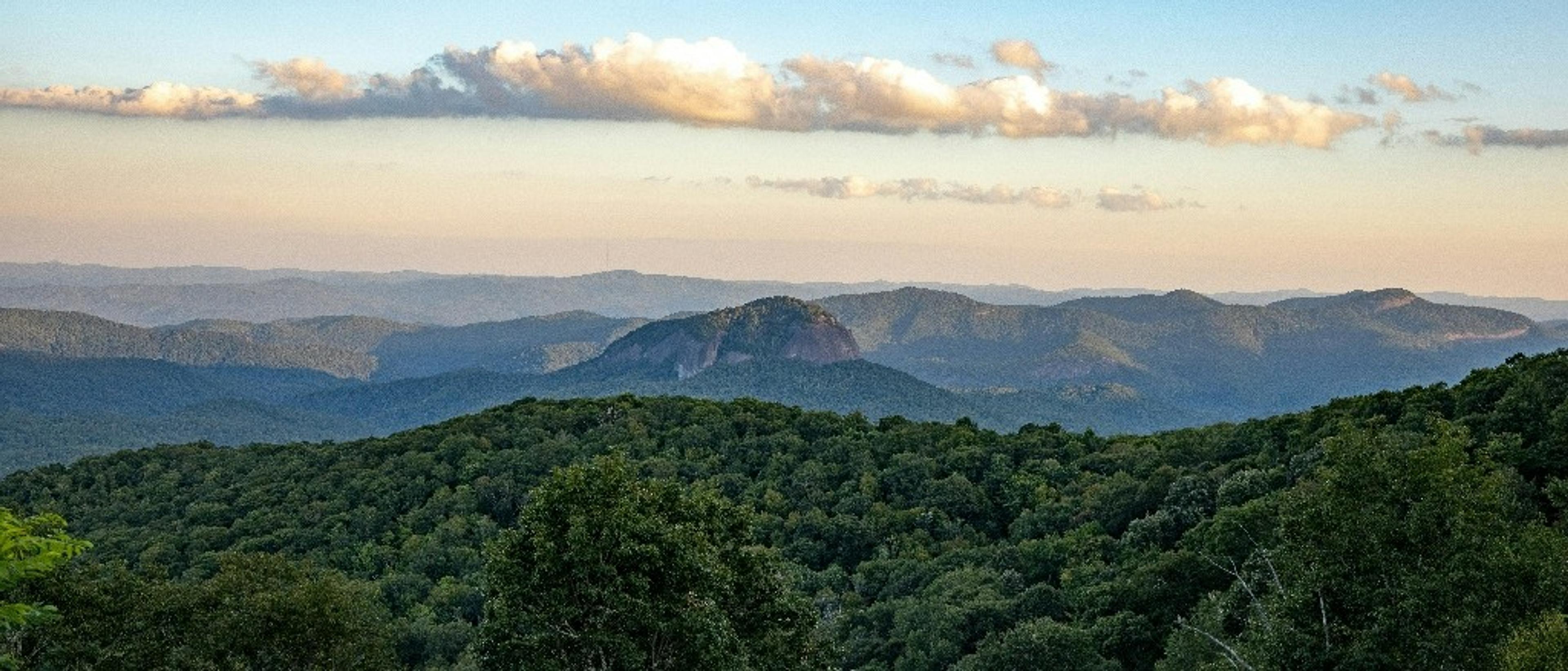 Asheville ⛰️ at $103 RT from Houston