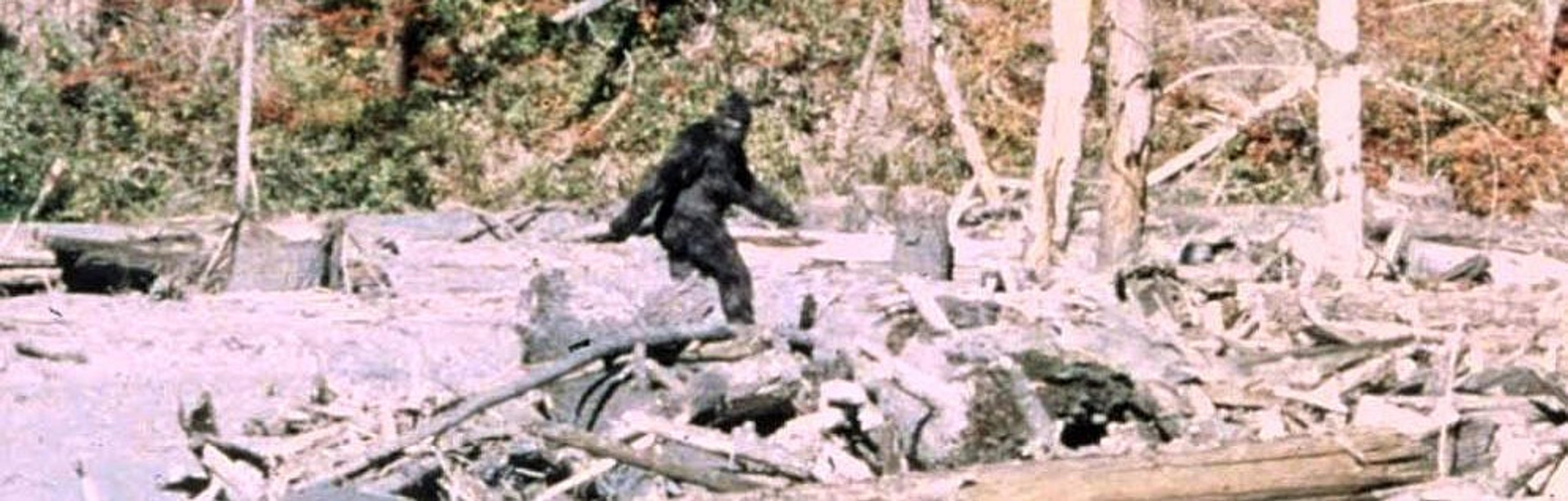 Bigfoot County, California: True Legends of the Redwood Curtain