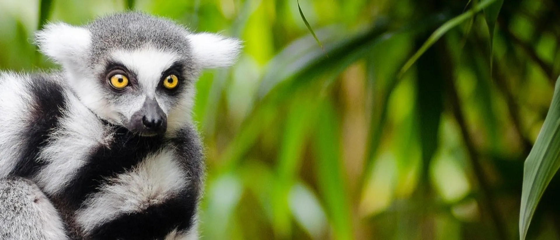 Madagascar