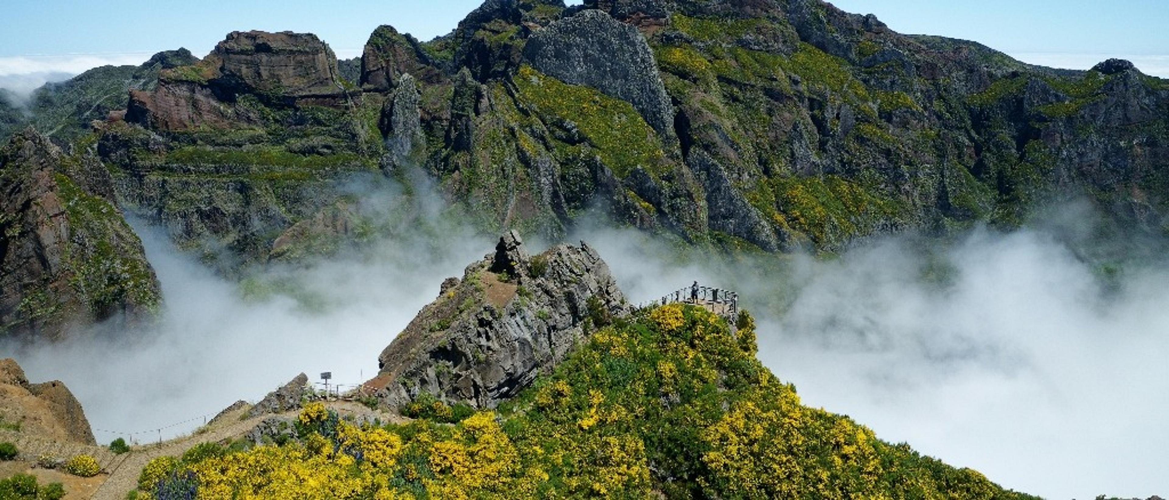 Madeira 🌿 at €149 rtn from Paris Orly