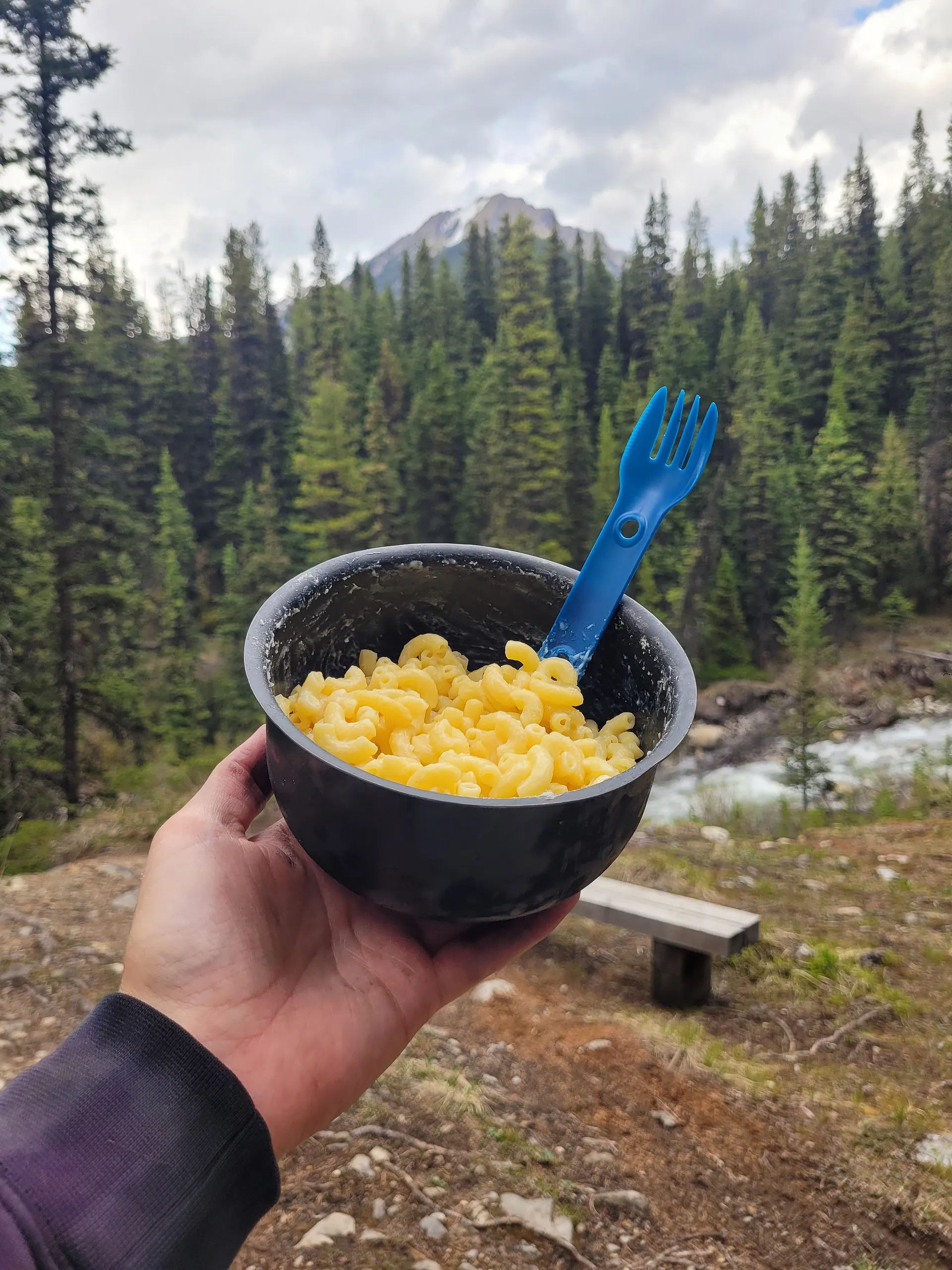 A bowl of macaroni is held up against the backdrop of a forested landscape with mountains in the distance, likely within a national park in the Canadian Rockies.