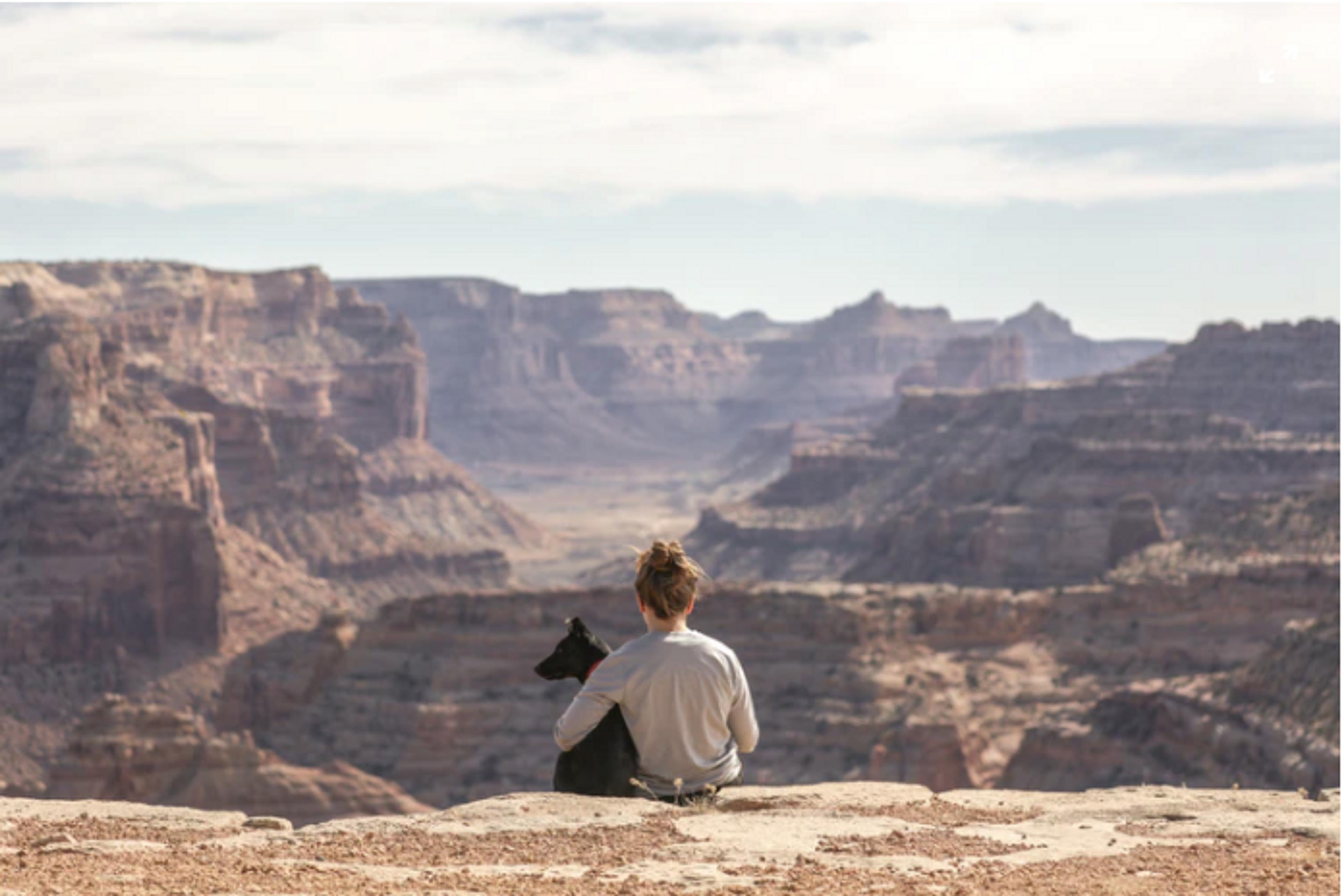 A guide to travelling with pets