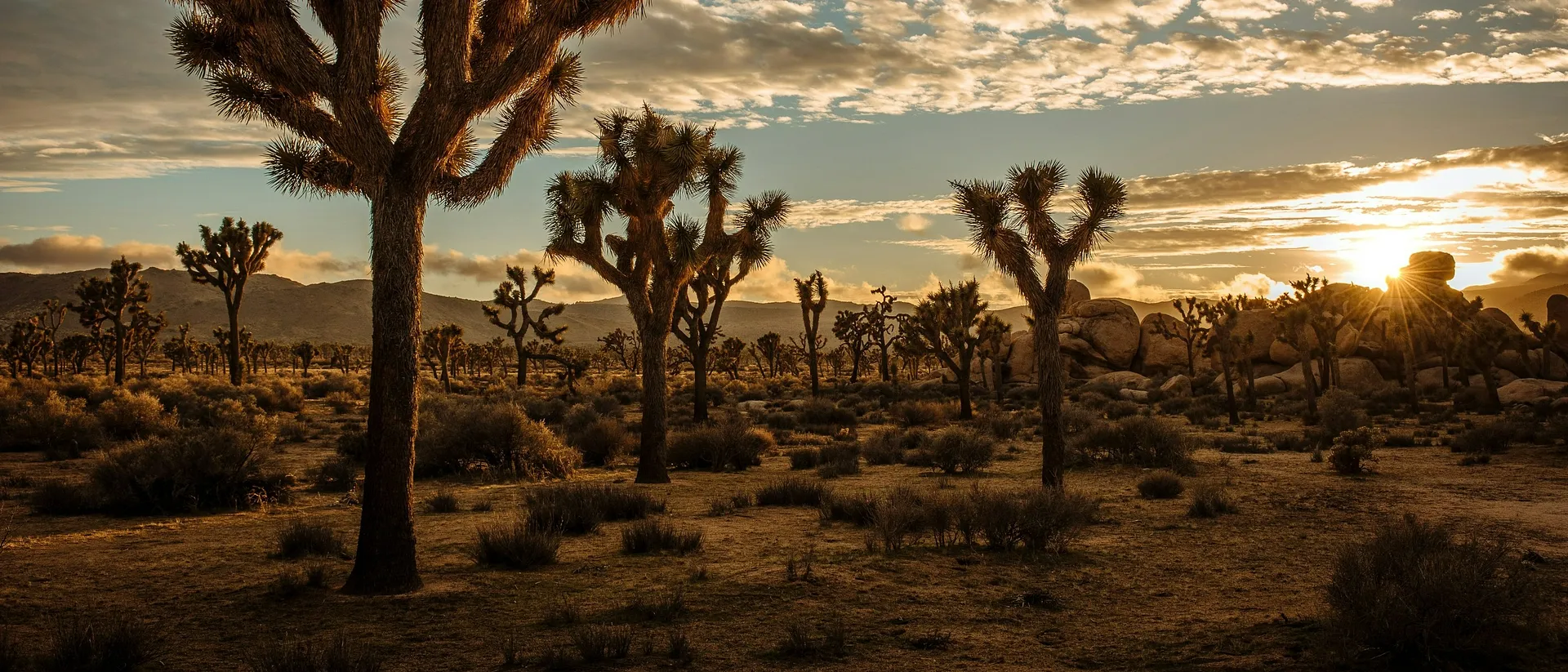 Finding Relief in California’s Desert Hotspot