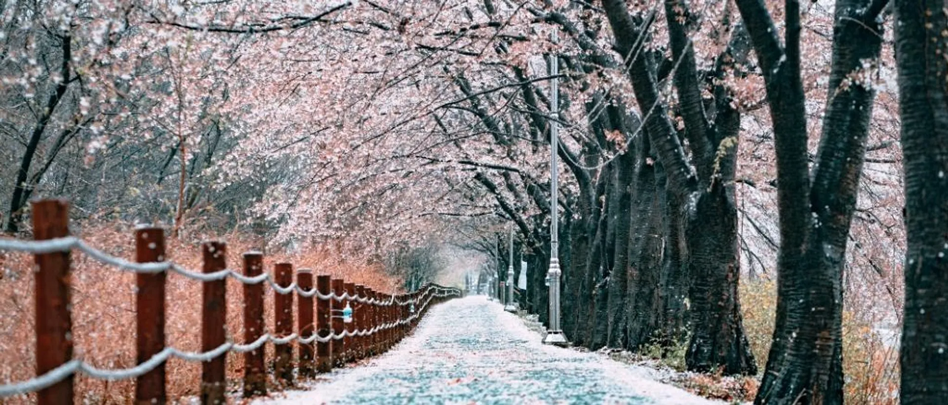 Seoul 🍜 at €599 rtn from Brussels 