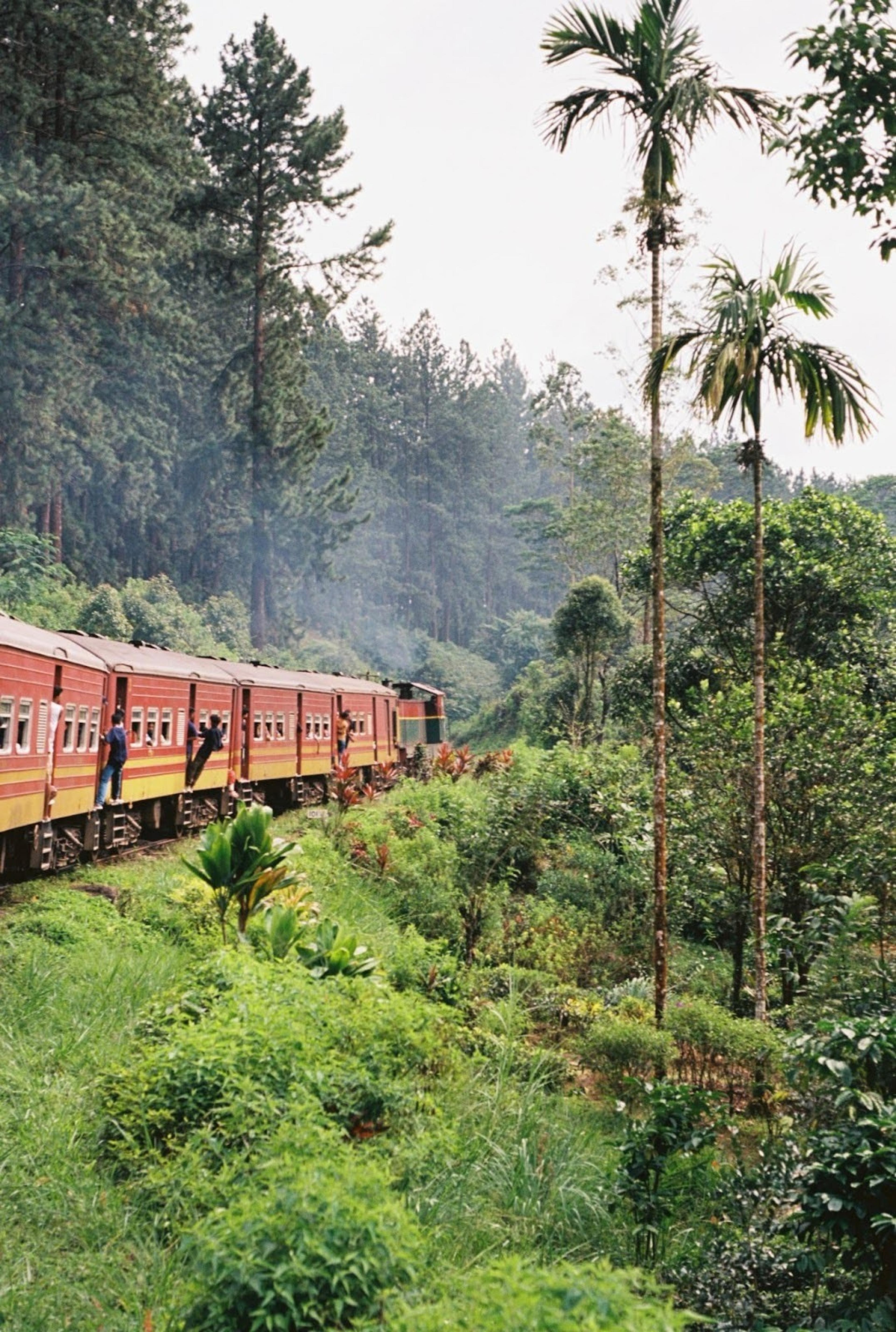 Sri Lanka by Train & One Month in Costa Rica