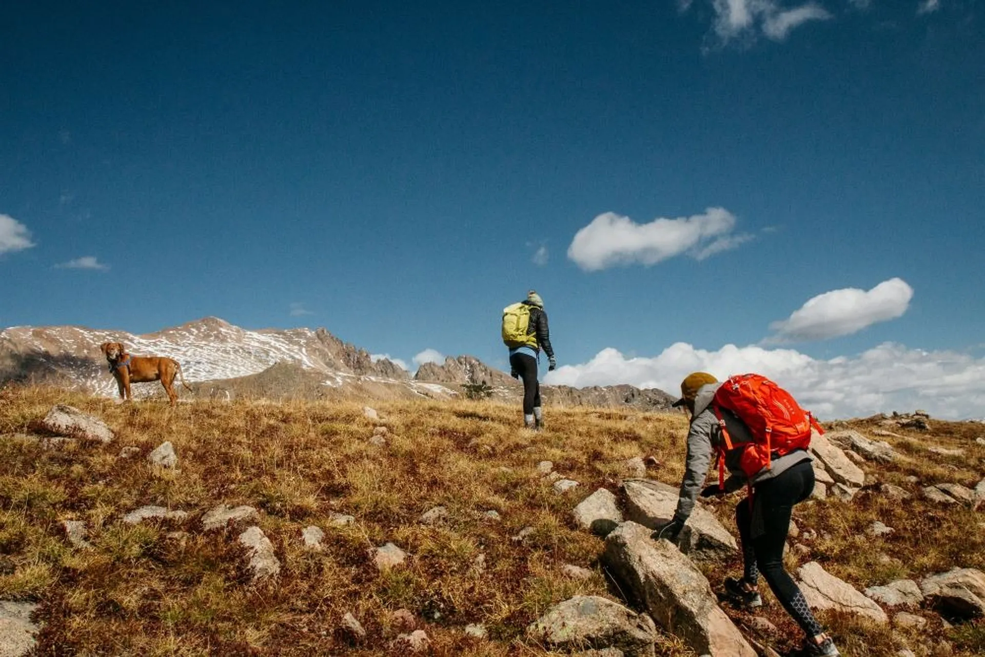Hikers and a dog explore the rocky terrain of the Colorado Rockies under a clear blue sky.