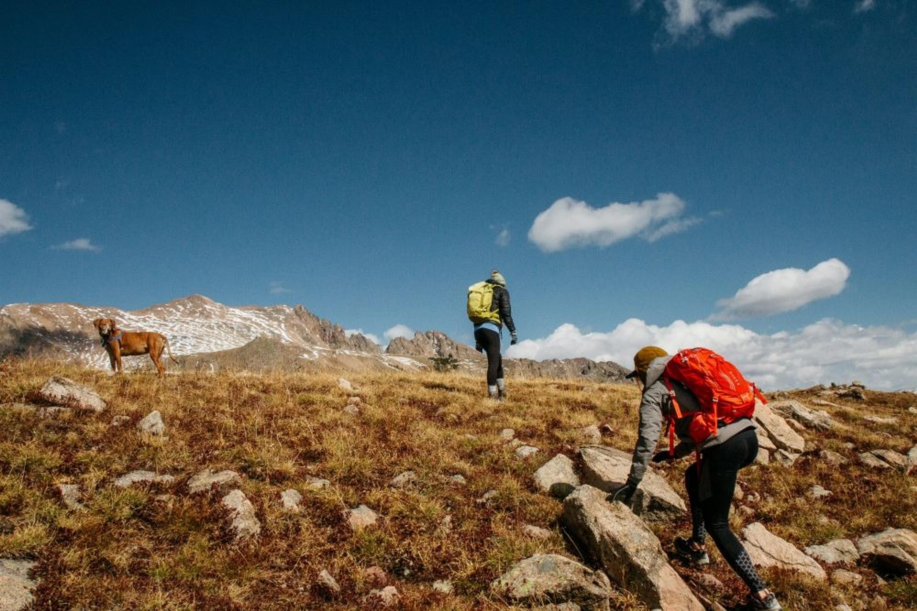 Hikers and a dog explore the rocky terrain of the Colorado Rockies under a clear blue sky.