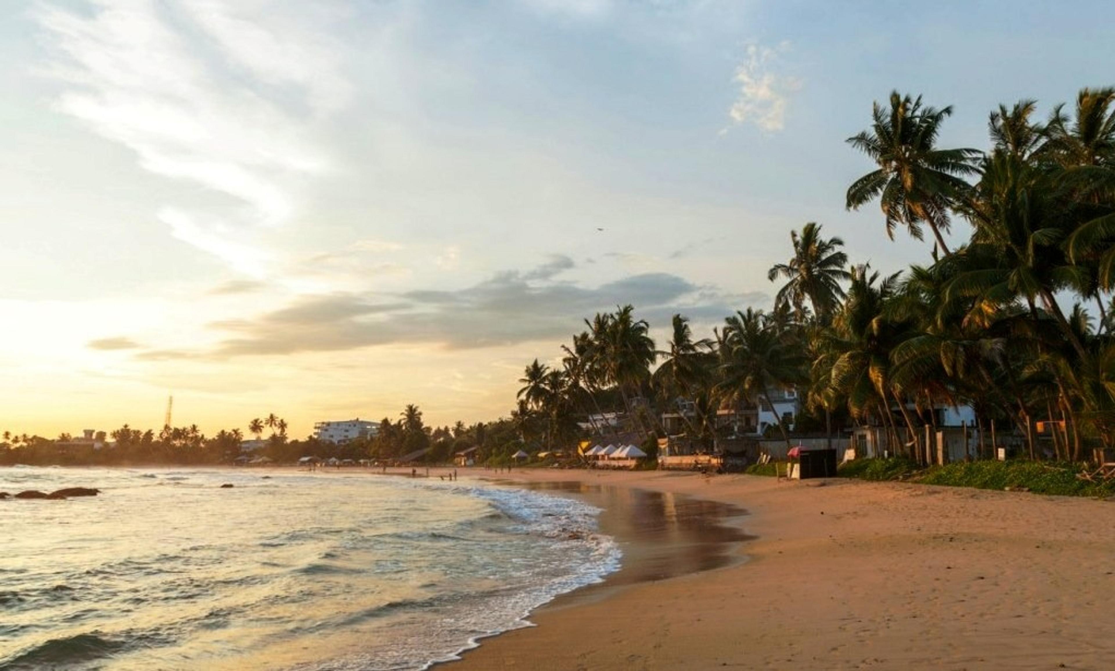 Beach with palm trees at sunset