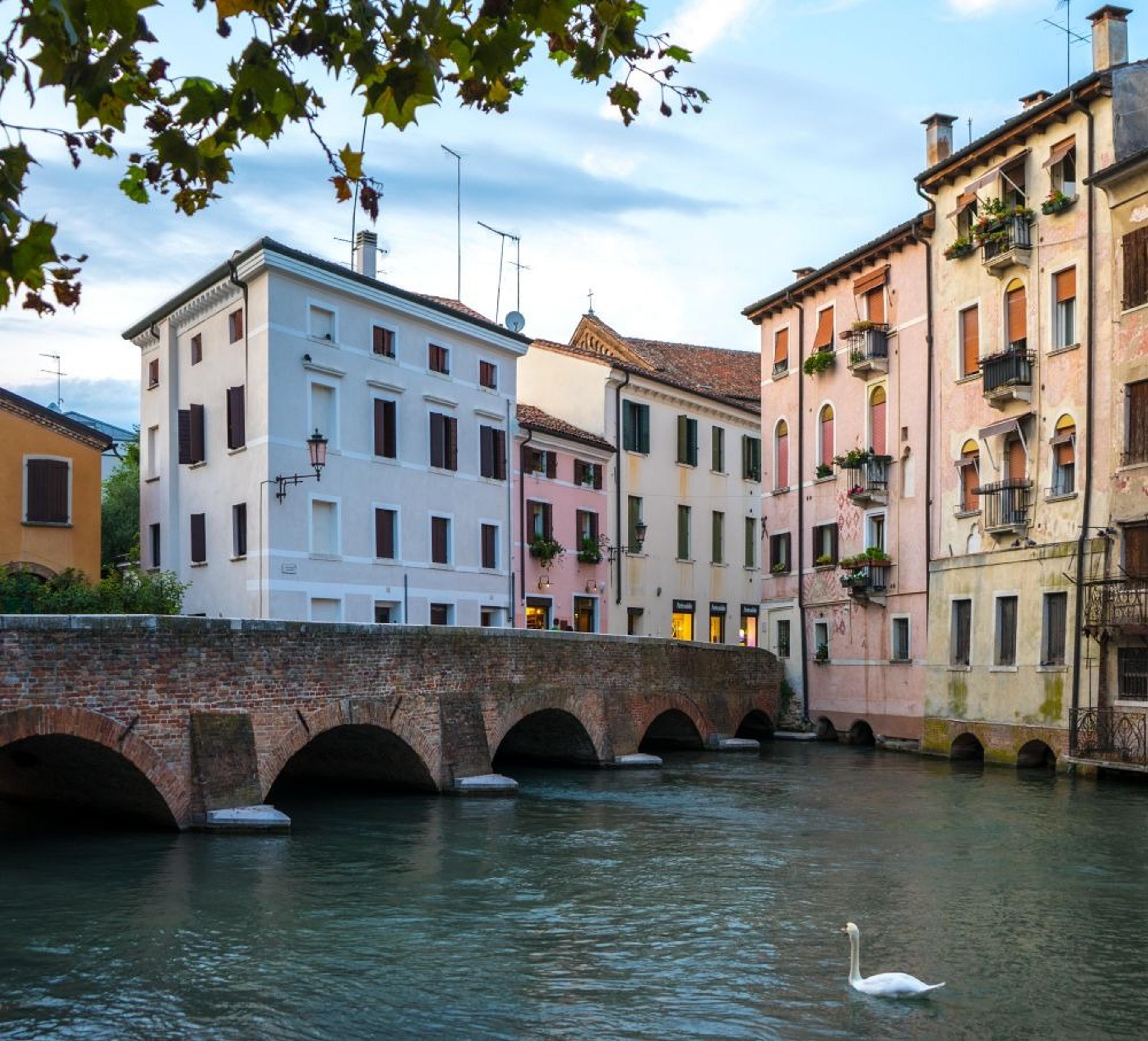 A picturesque scene captures a swan gliding along a canal beside colorful buildings and a brick bridge in Treviso, Italy.