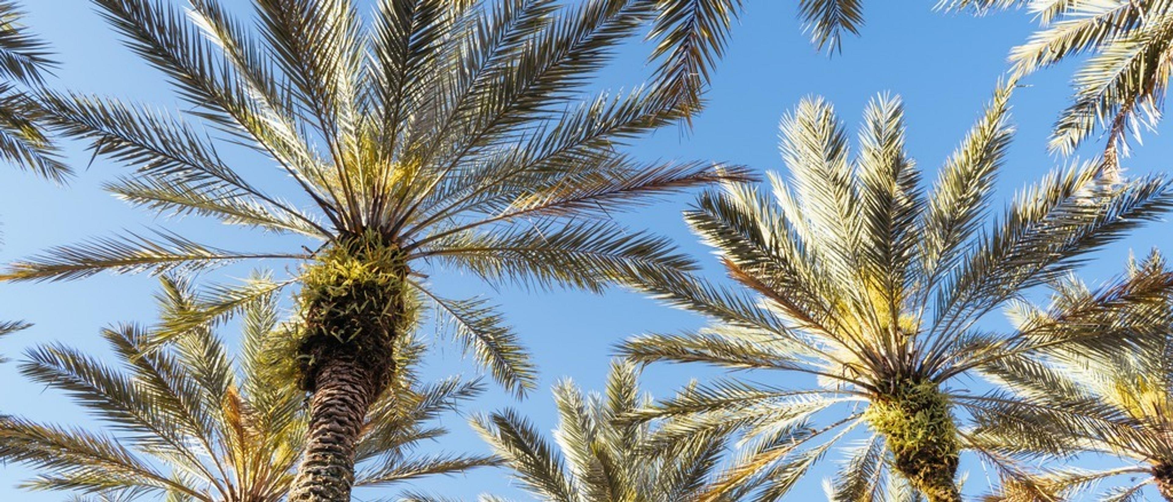 Orlando-Sanford 🎡 at $78 RT from Las Vegas