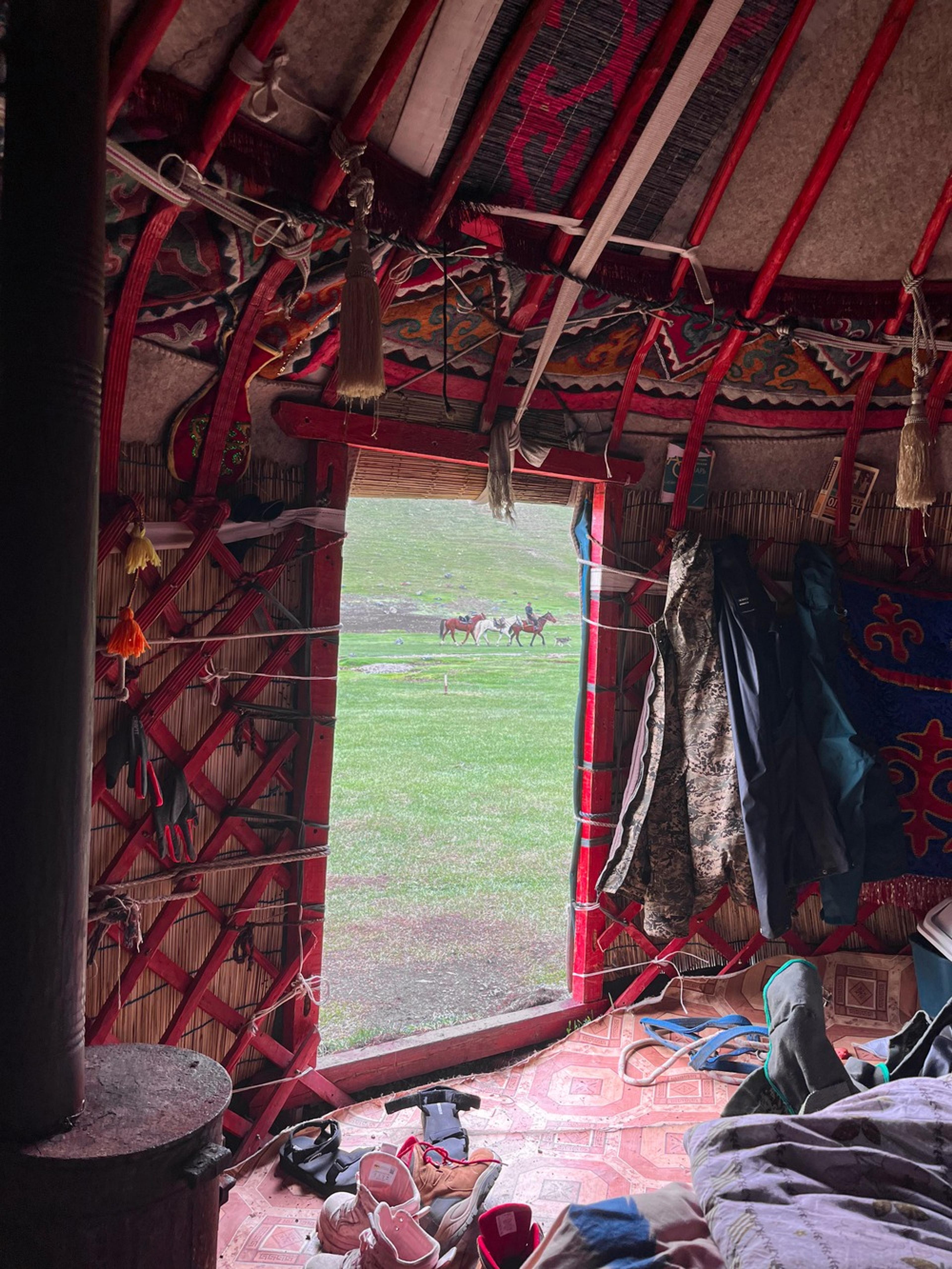 A cozy view from inside a traditional yurt in Kyrgyzstan reveals a grassy landscape with horses grazing outside.