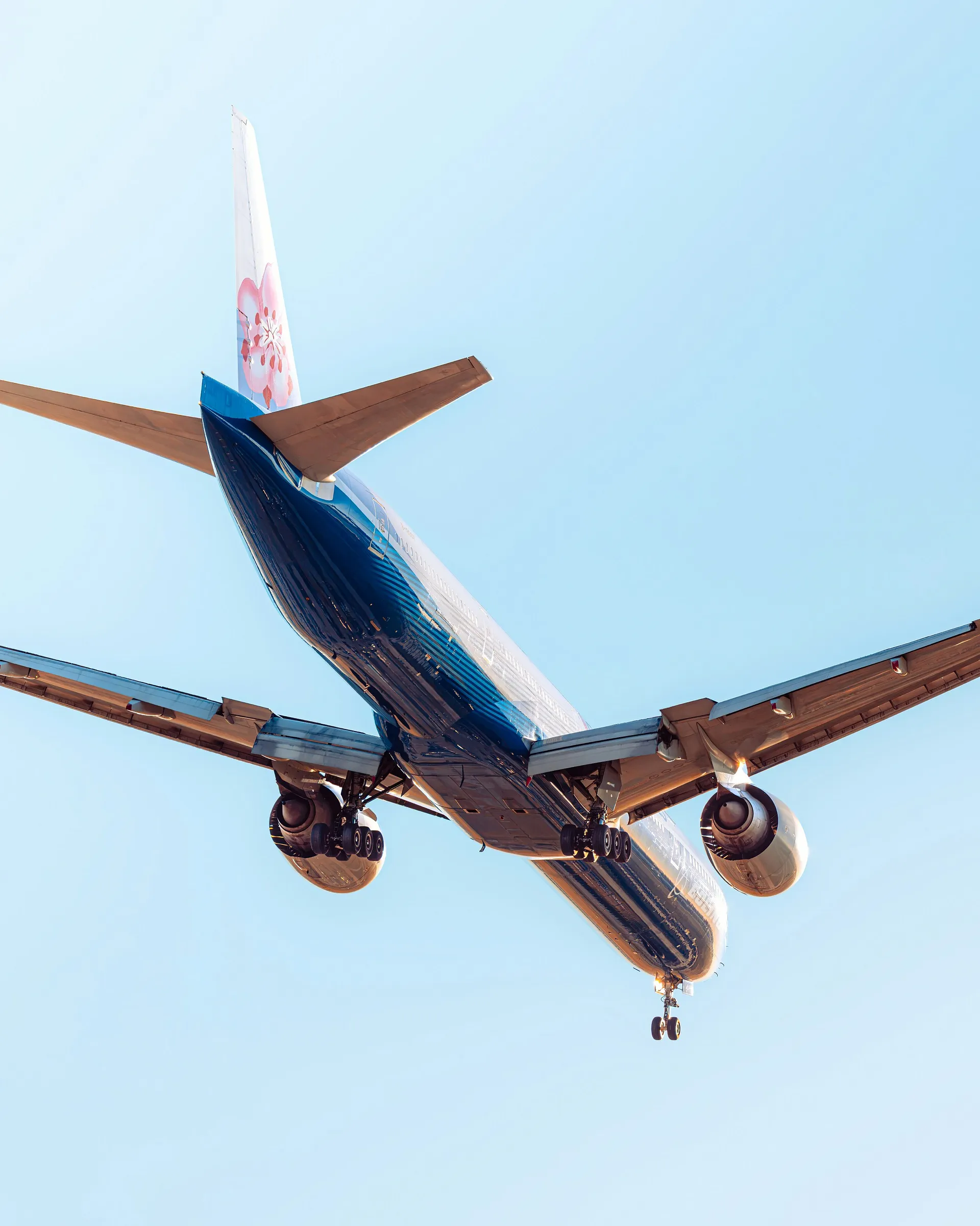 An airplane is flying overhead with its landing gear deployed, featuring a flower logo on its tail against a clear sky.