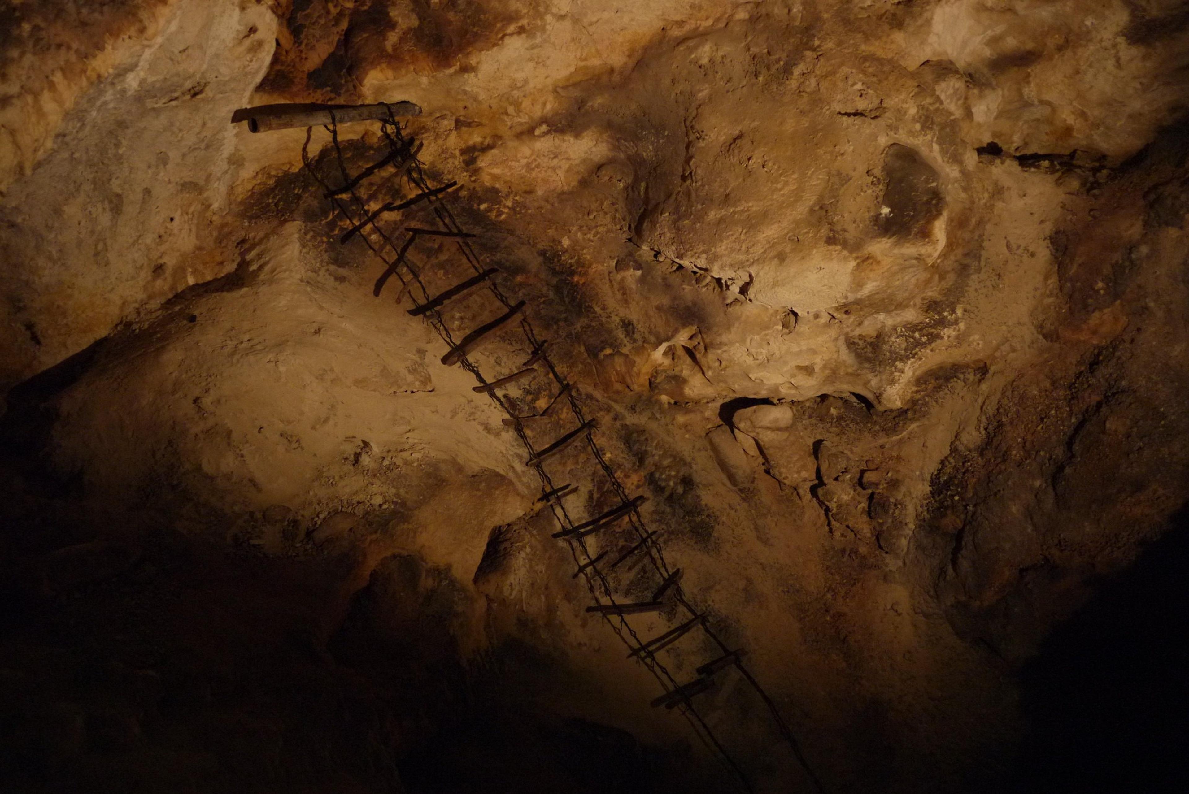 An old, rickety wooden ladder ascends the rocky walls 