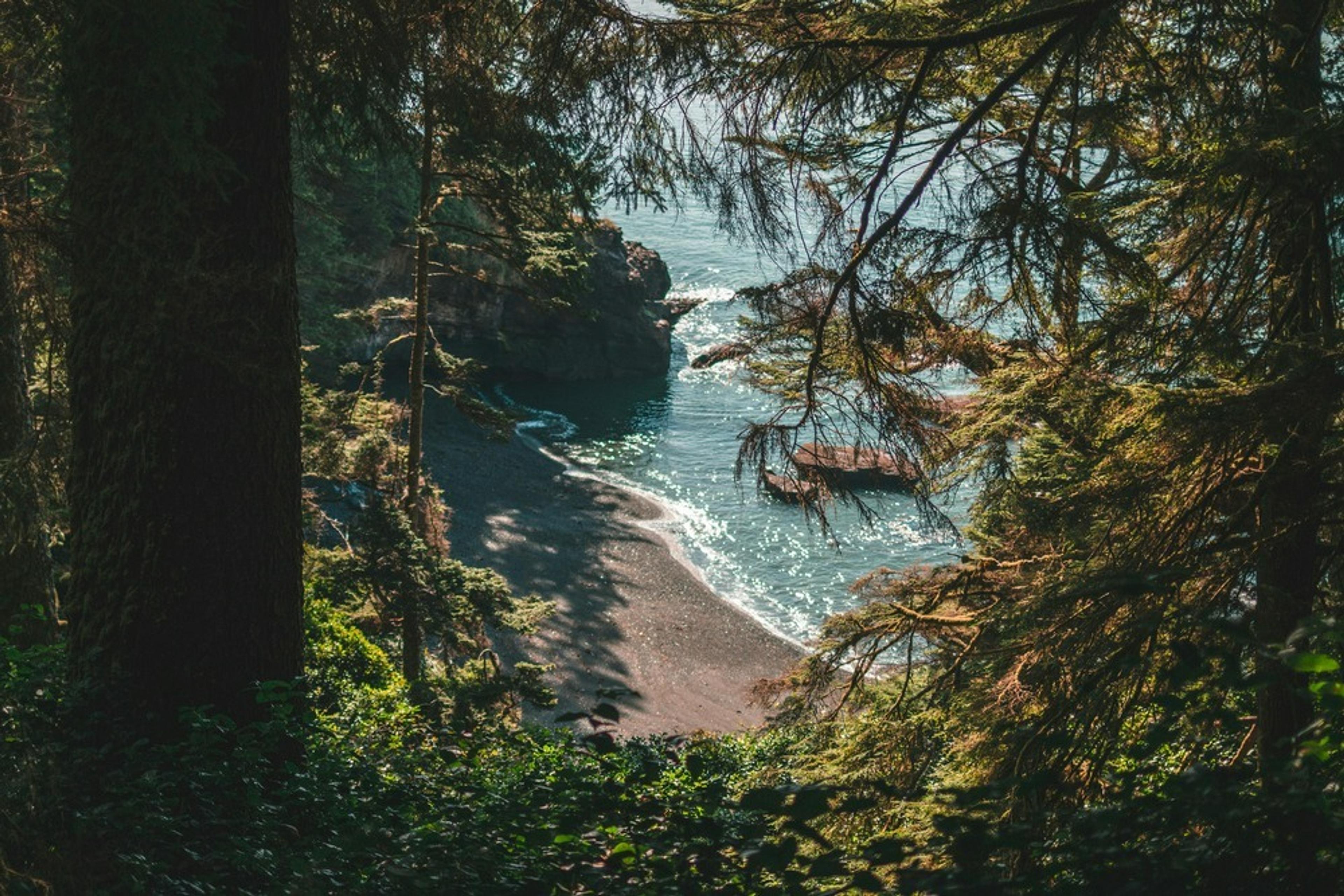 A tranquil cove framed by dense trees at Juan de Fuca Provincial Park