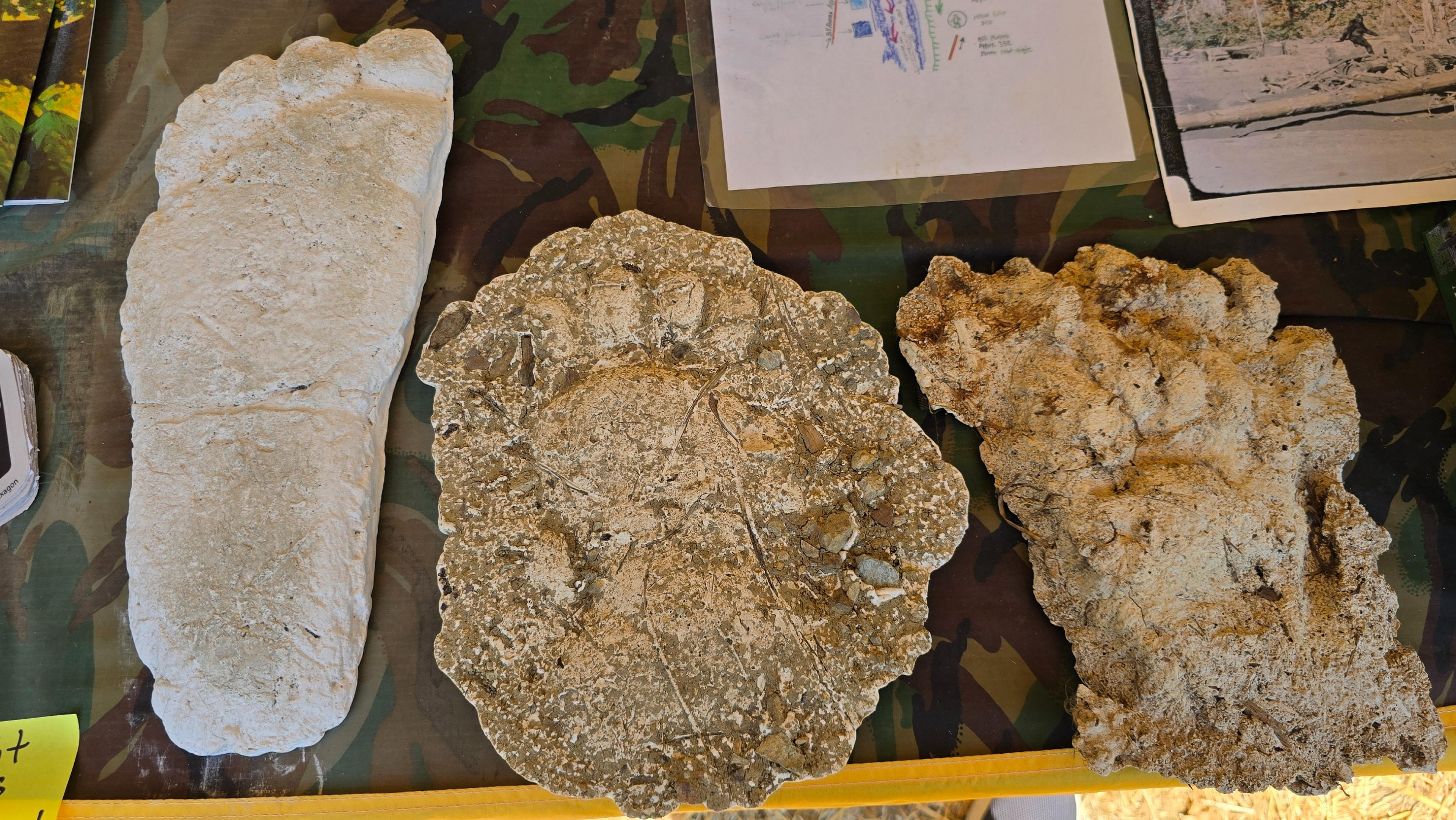 A display at the Willow Creek-China Flat Museum features three plaster casts of alleged Bigfoot footprints.