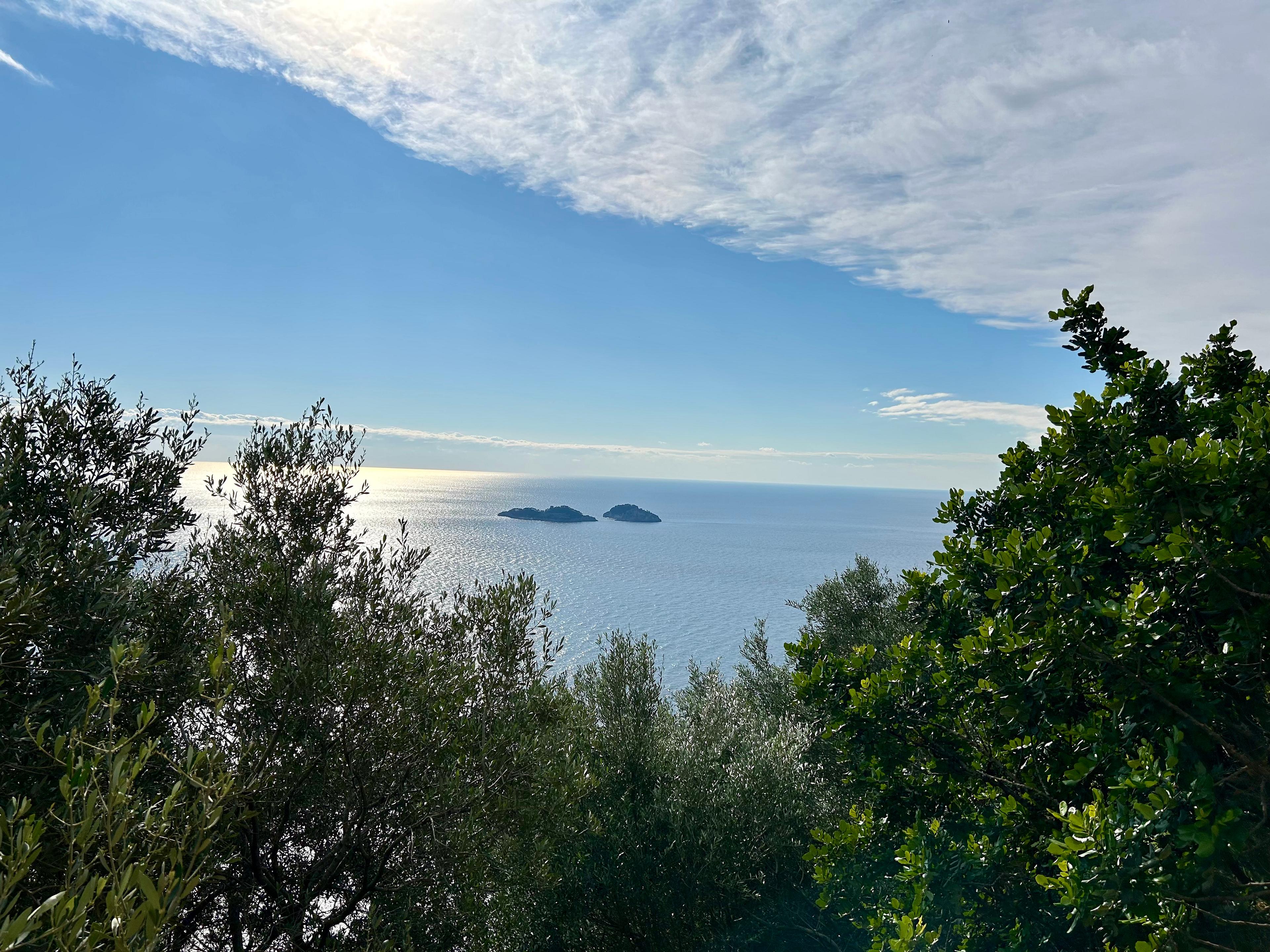 Postcard from Alison