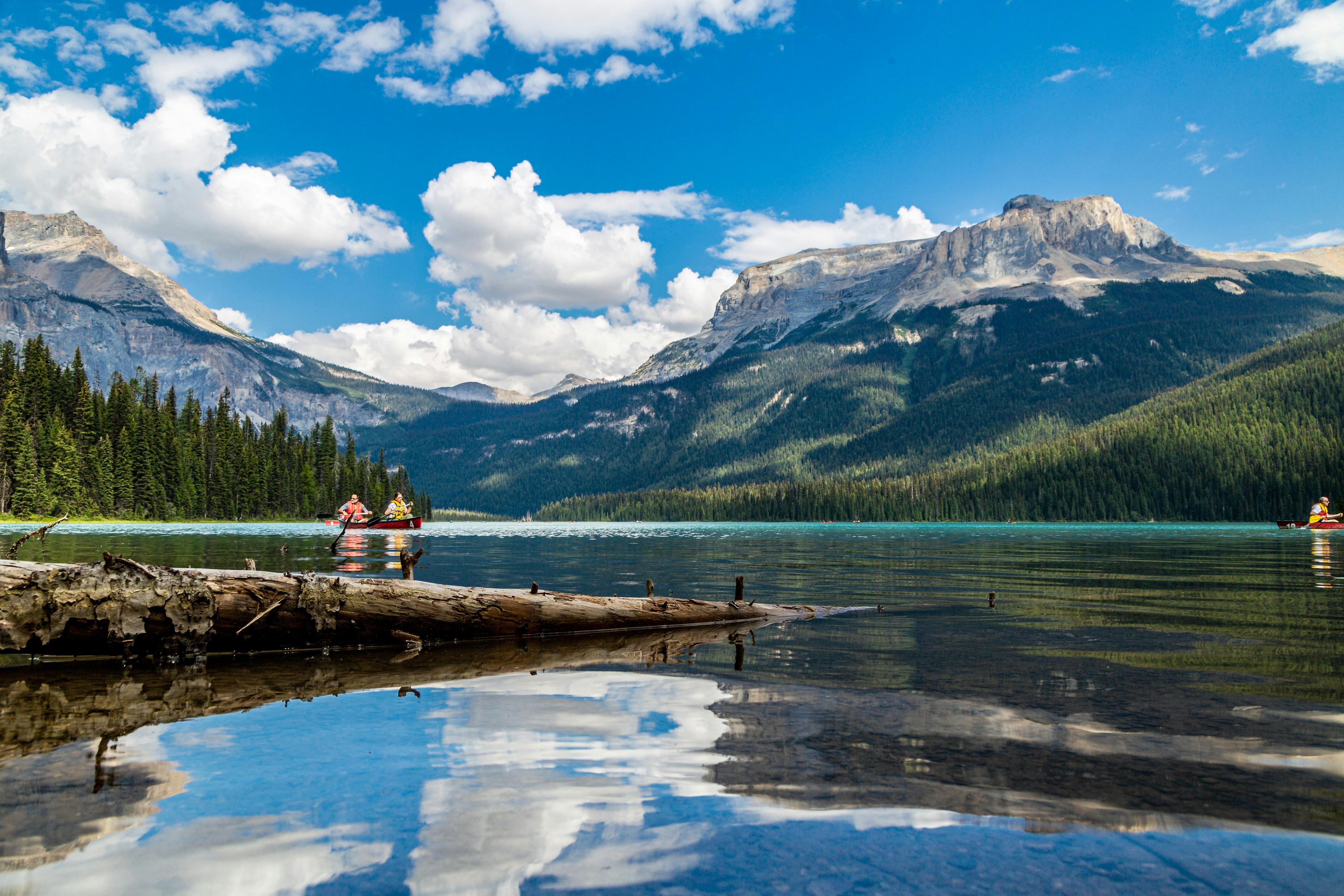 From Eh to Z: From the Trail - Marshall’s Year in Hikes