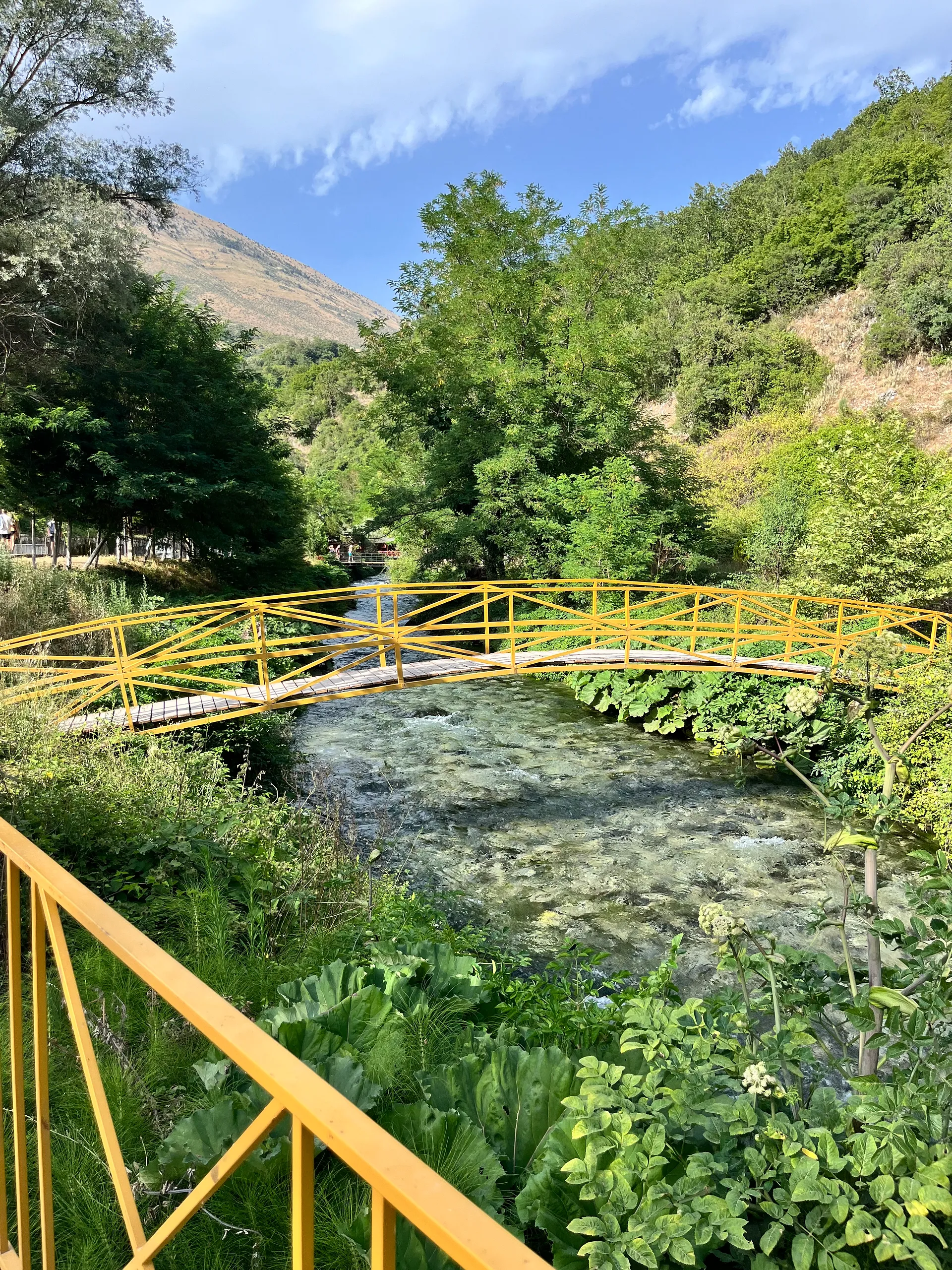 Postcard from Ross