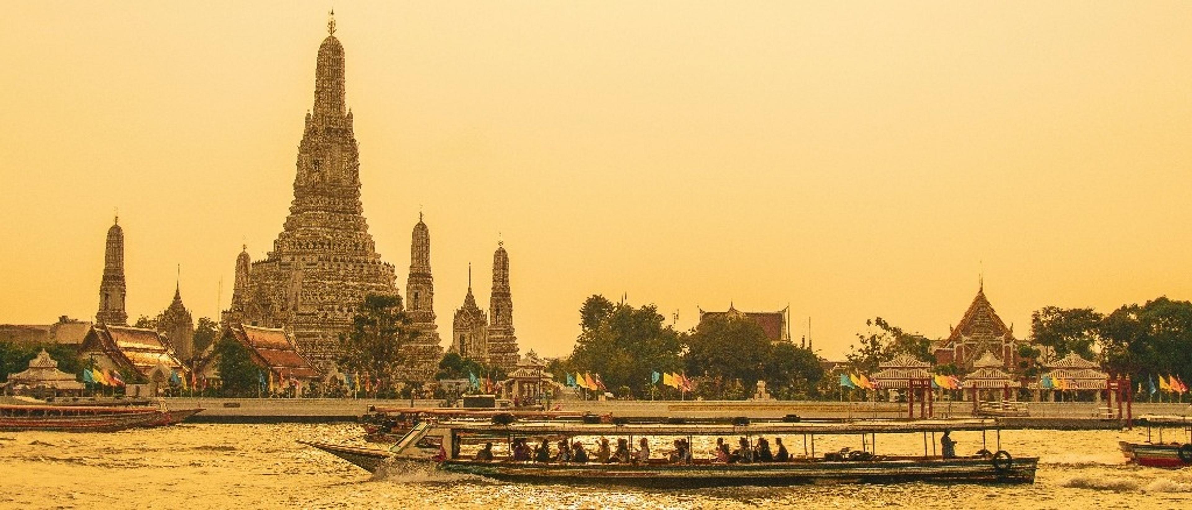 Mischievous Monkeys & Mistaken Identities: Tales from the Jack's Community