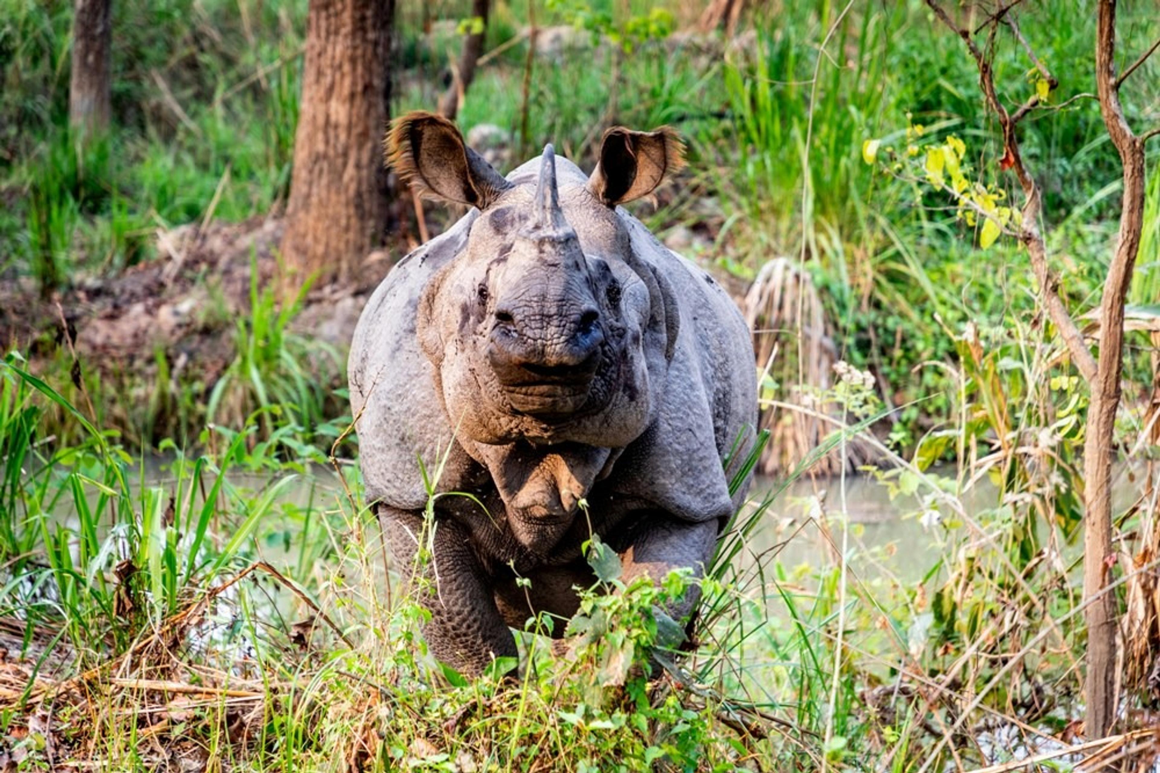 The cheapest safari in Tanzania: our Flight Finders reveal all