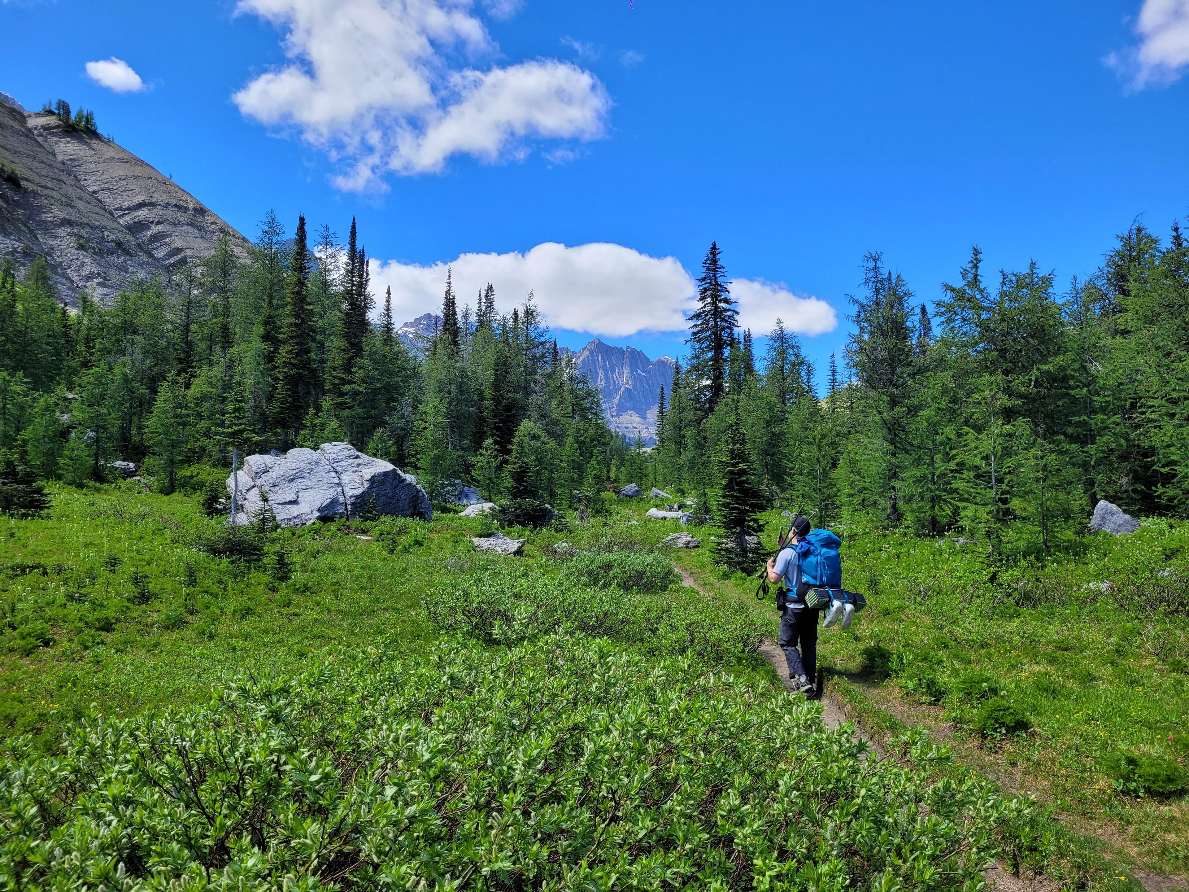 A hiker treks through the lush, mountainous landscape of Banff National Park in Alberta, Canada.