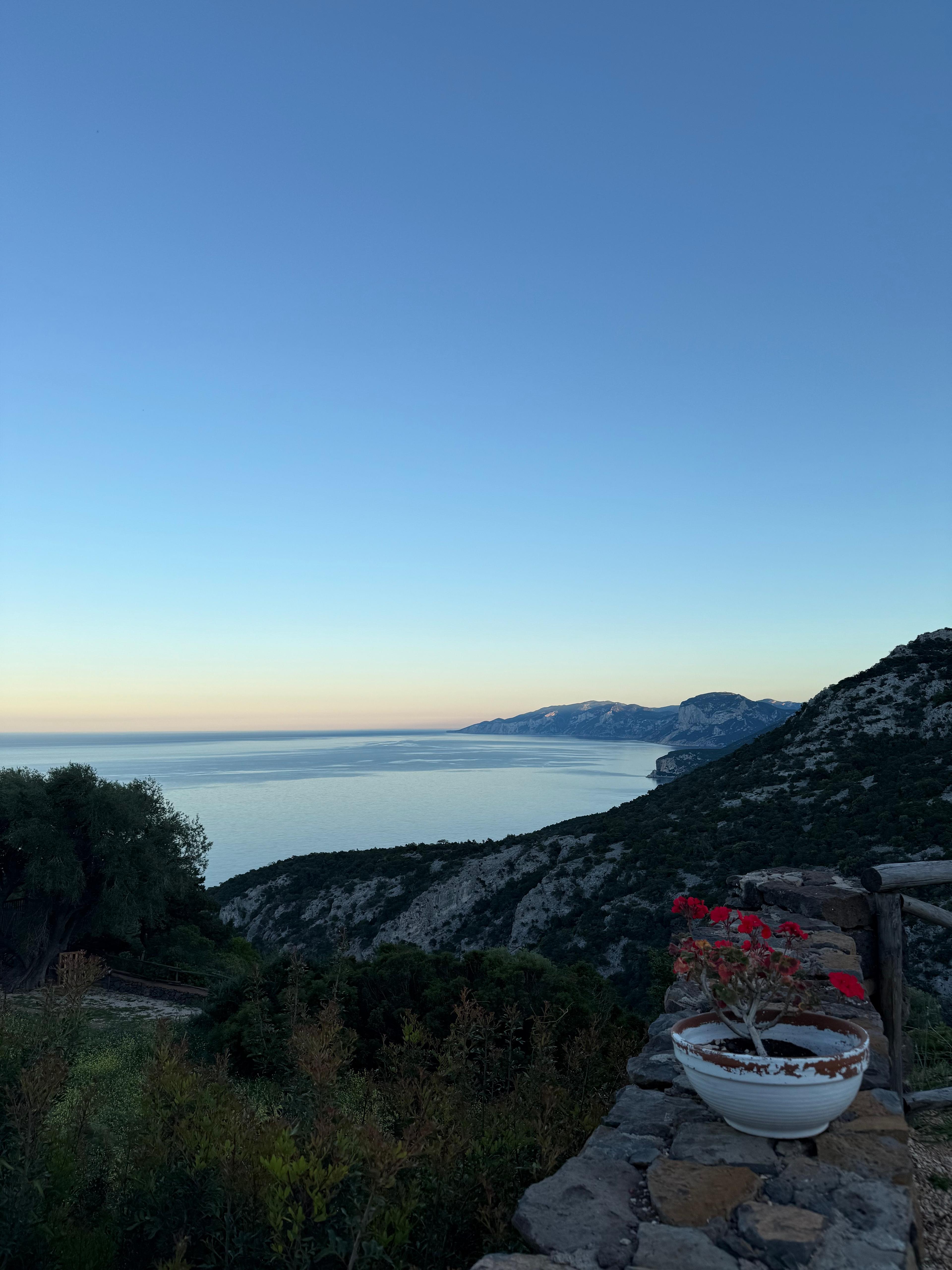 Postcard from Shannon